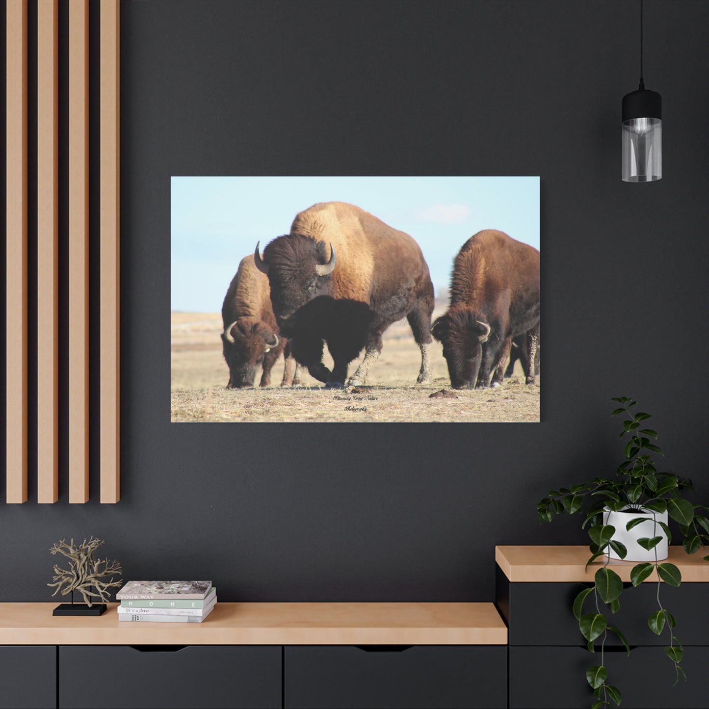 Buffalo Herd Matte Canvas, Stretched, 1.25"