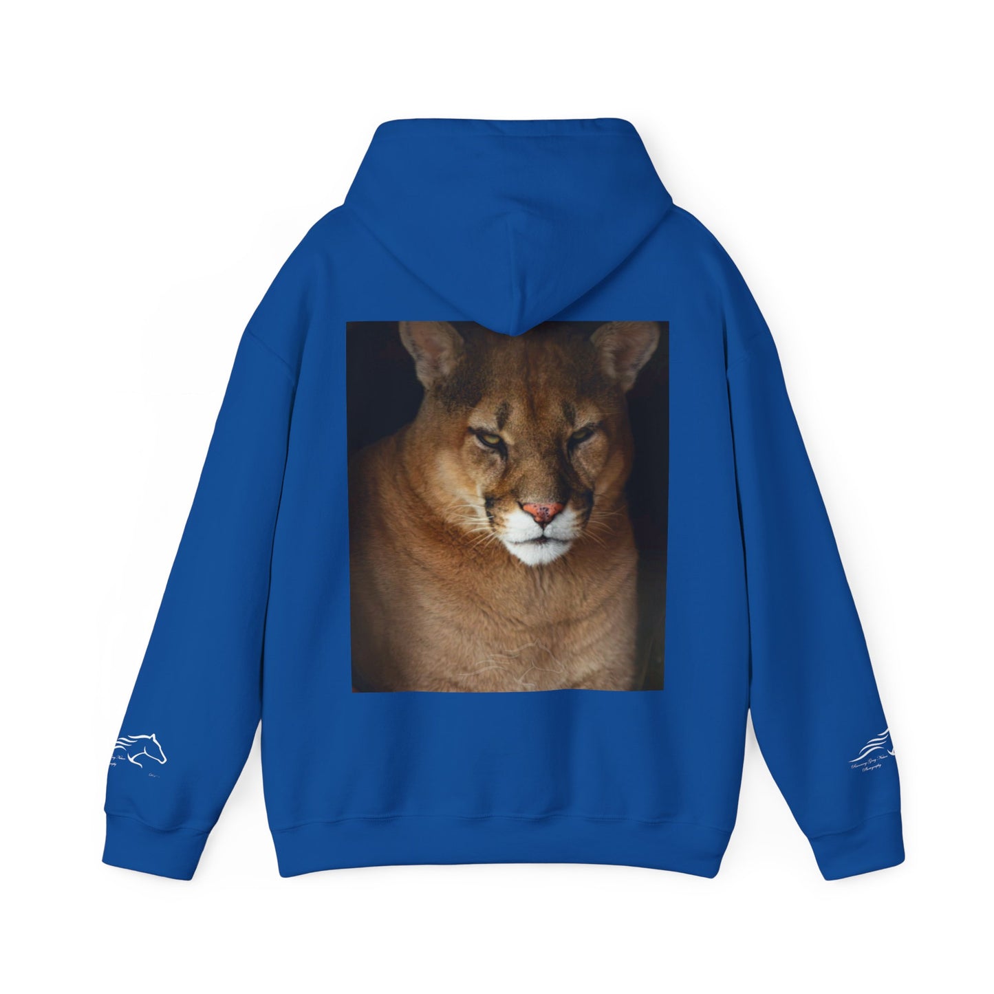Big Cat Hoodie