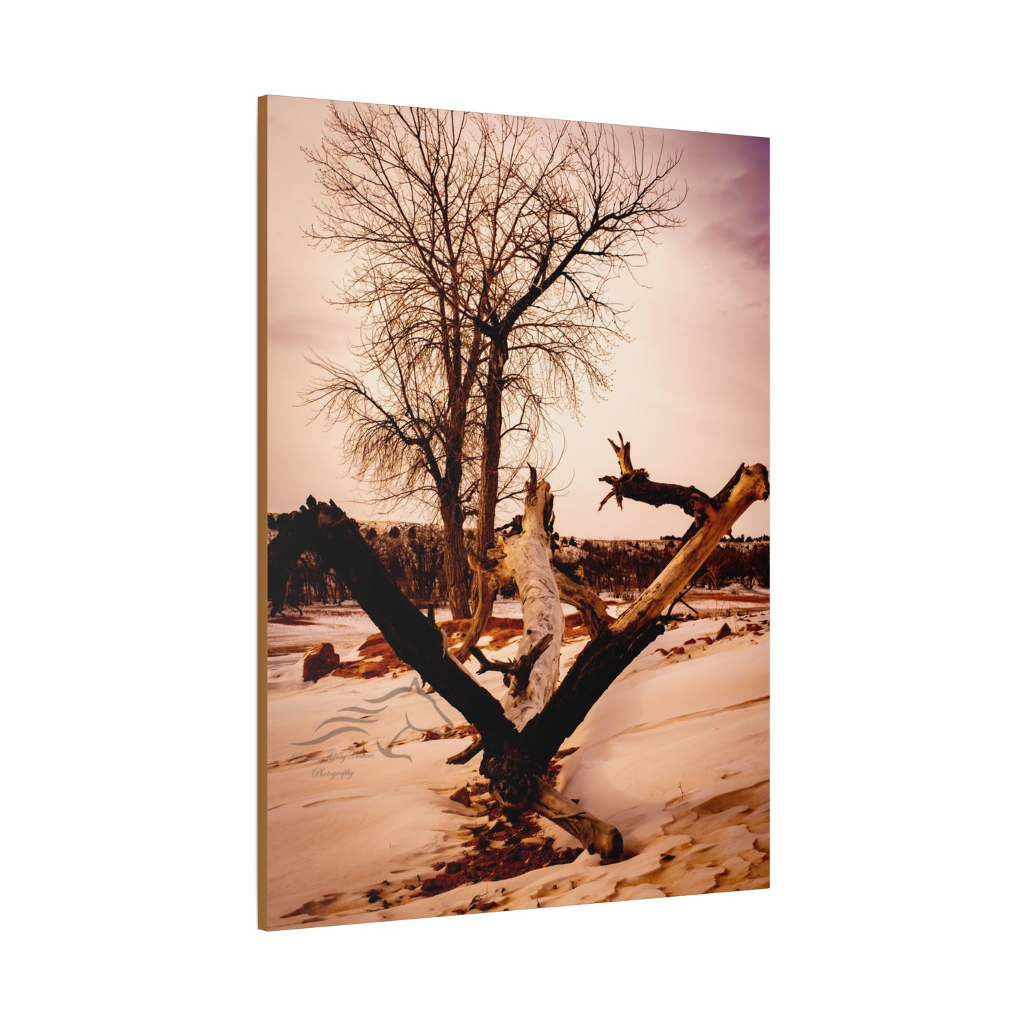 Rustic Landscape Canvas