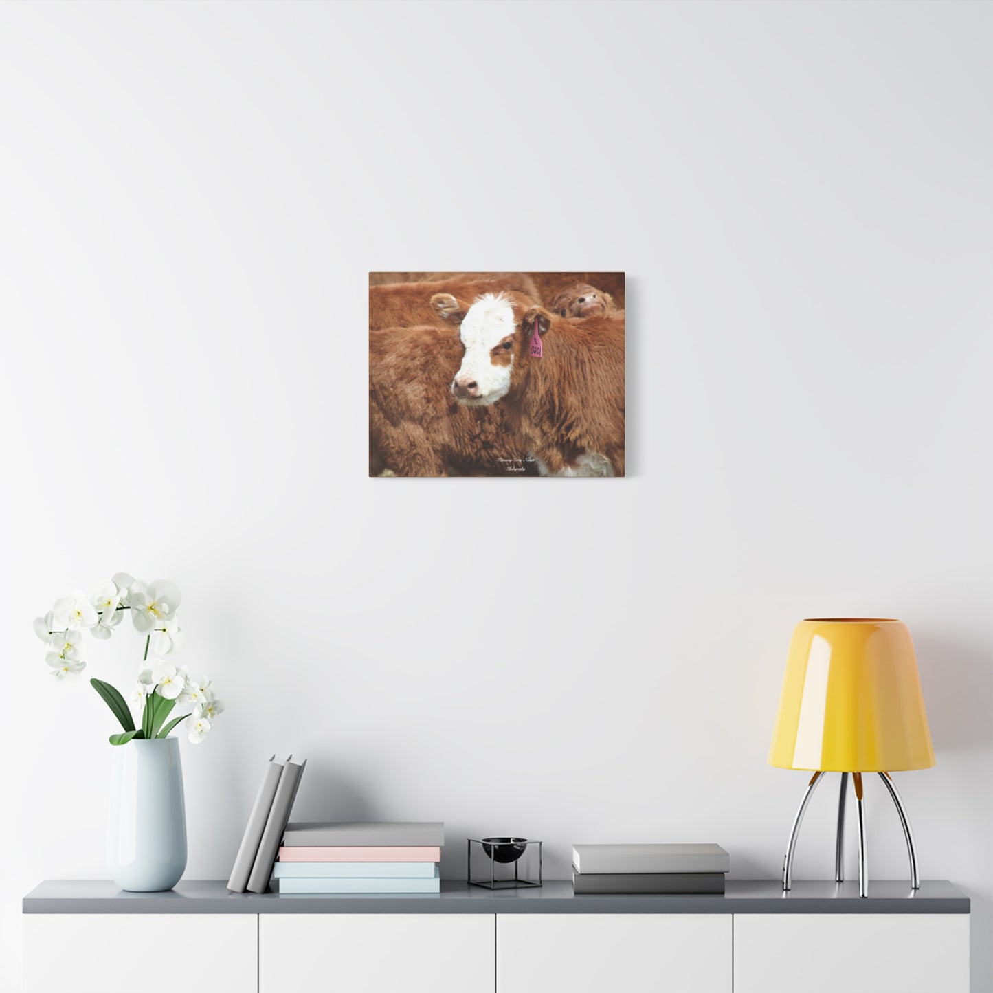 Red, White-Faced Calf Matte Canvas, Stretched, 1.25"