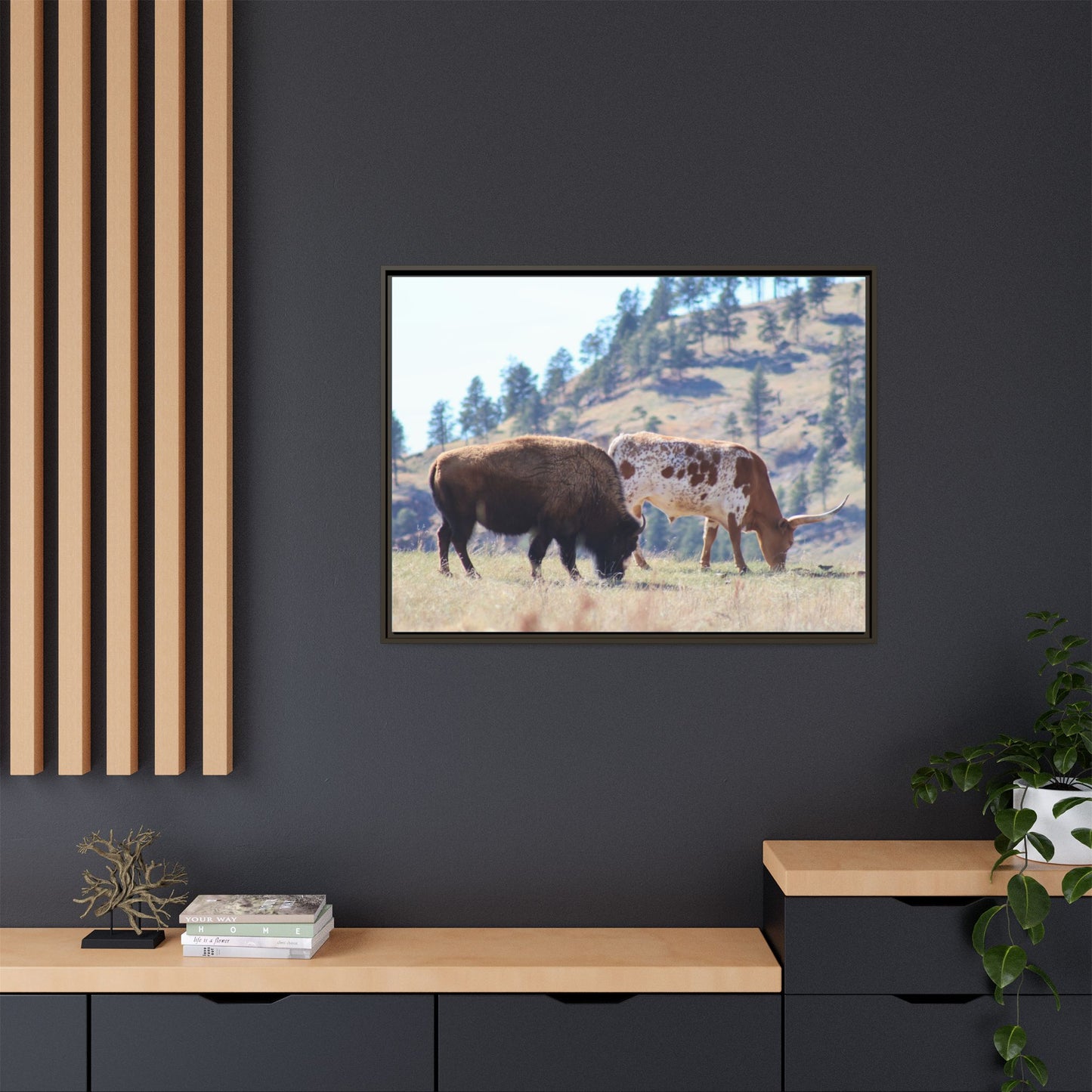 Long Horn and Buffalo Framed Canvas