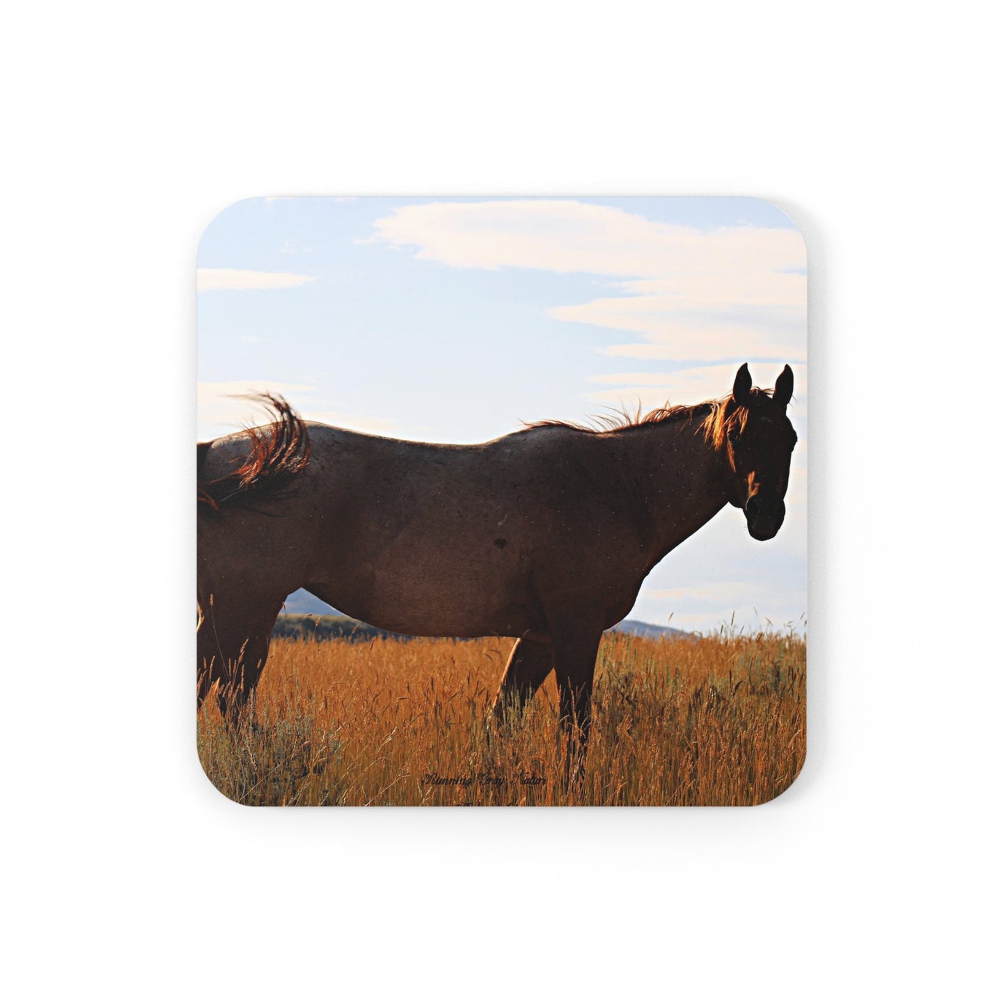 Fly Flicker Corkwood Coaster Set