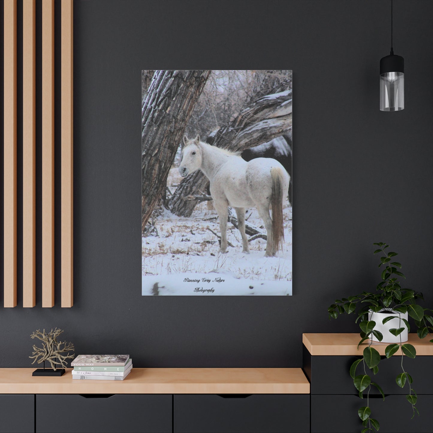 Winter White Horse Matte Canvas, Stretched, 1.25"