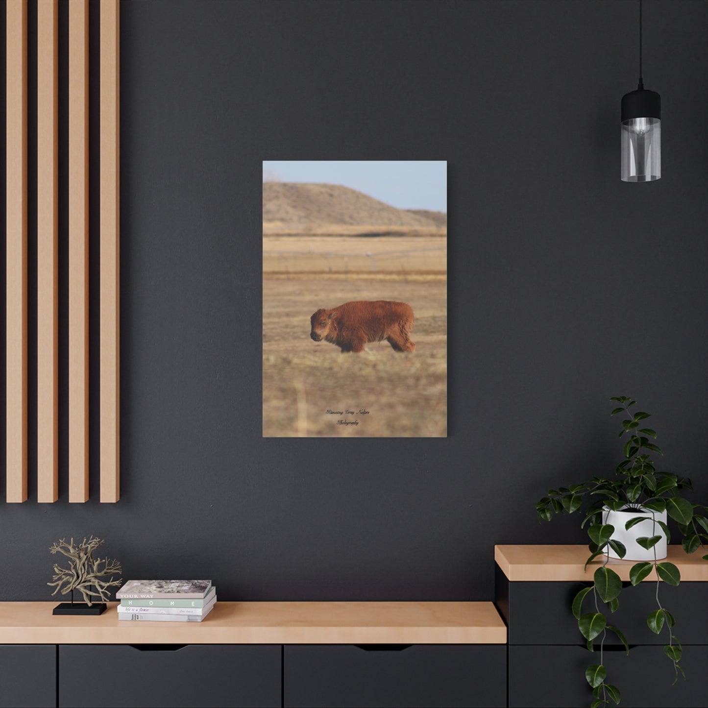 Baby Buffalo Matte Canvas, Stretched, 1.25"