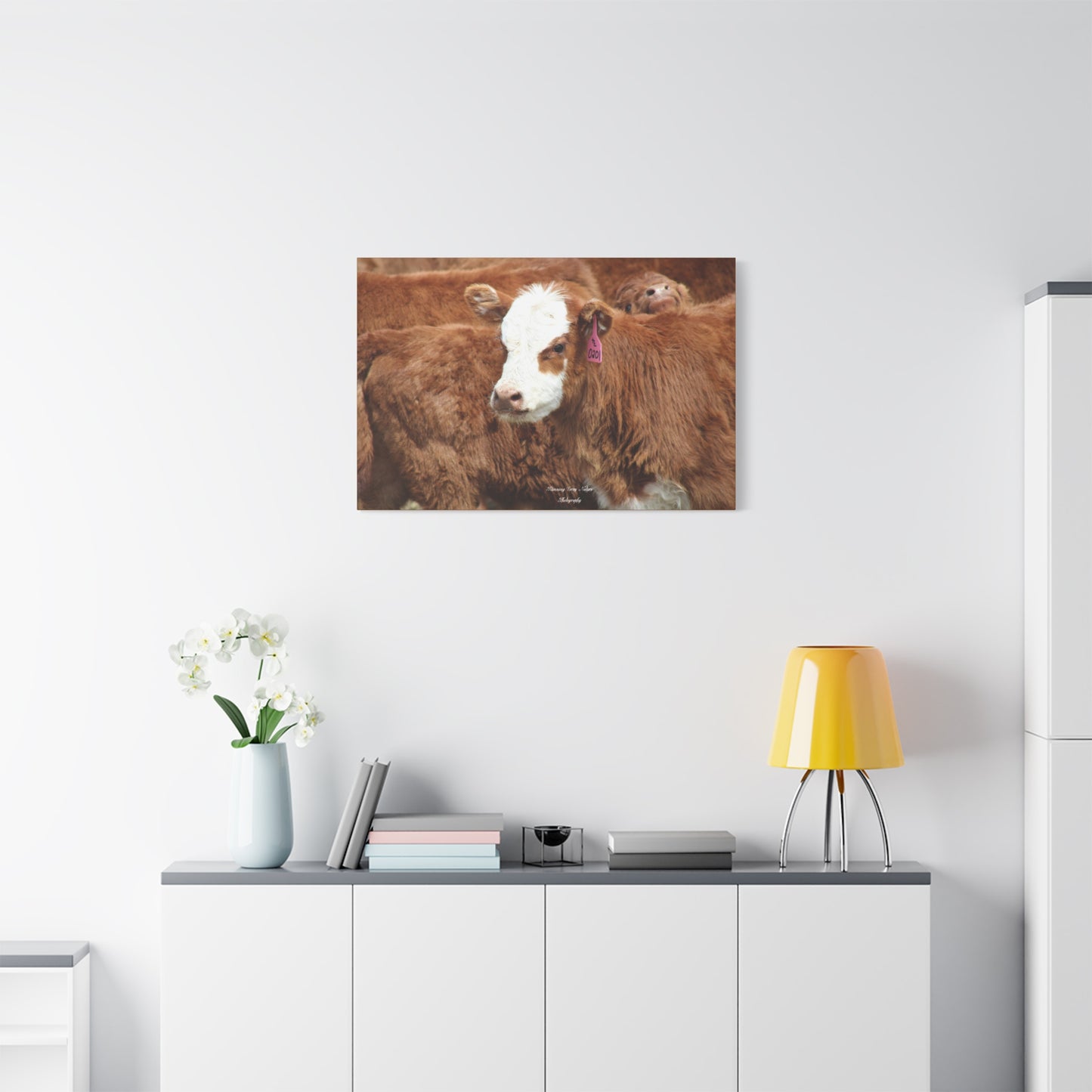 Red, White-Faced Calf Matte Canvas, Stretched, 1.25"