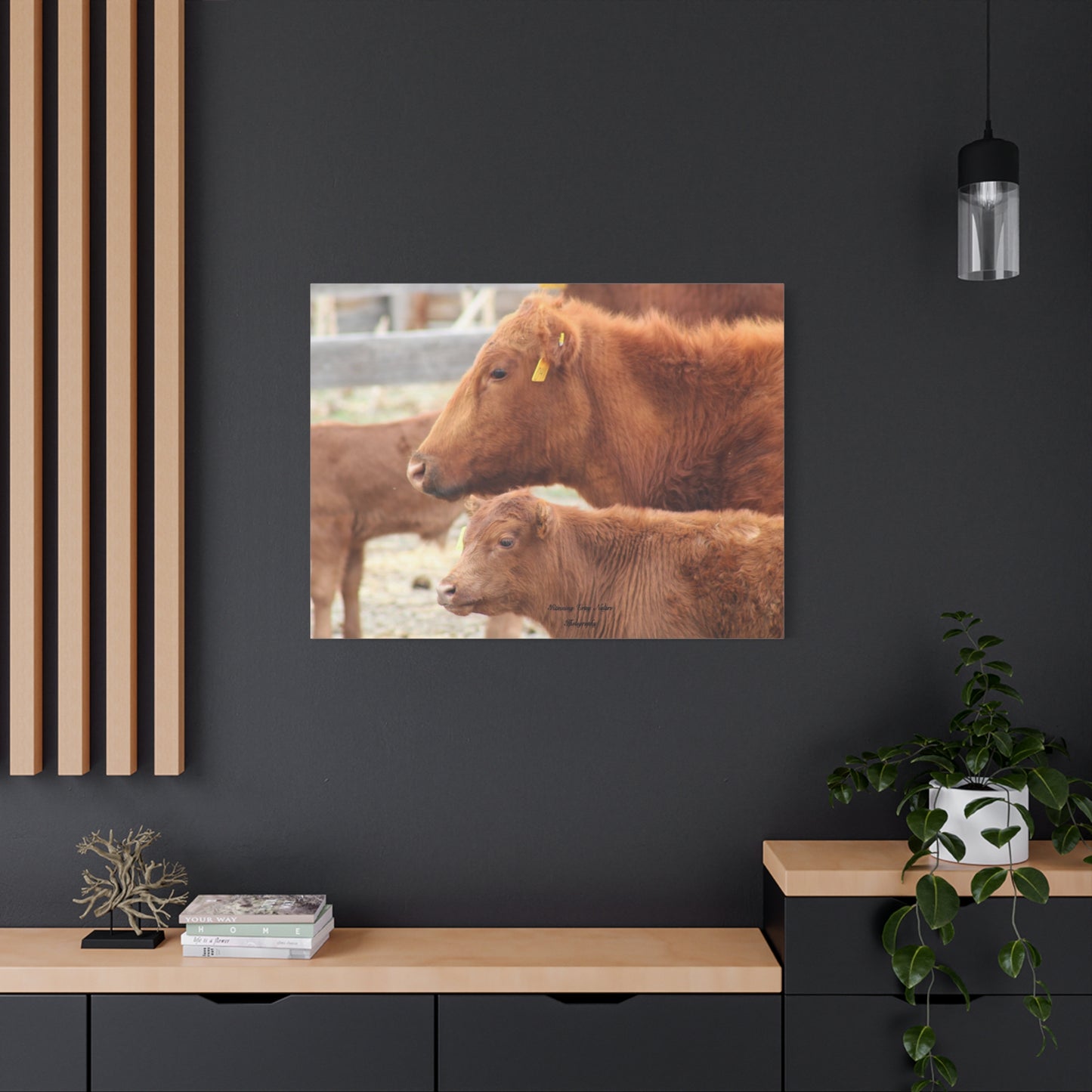 Momma and Baby Calf Matte Canvas, Stretched, 1.25"