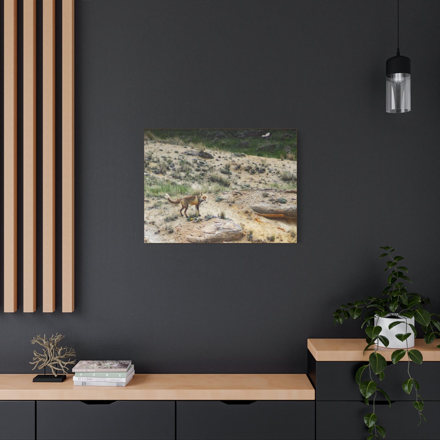 Swift fox and an Eagle