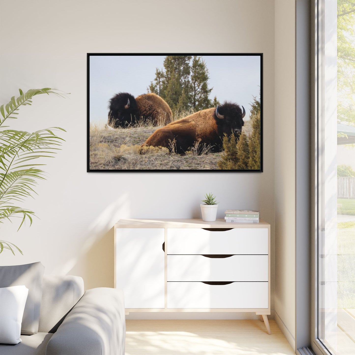 Two Bull Buffalo Framed Canvas