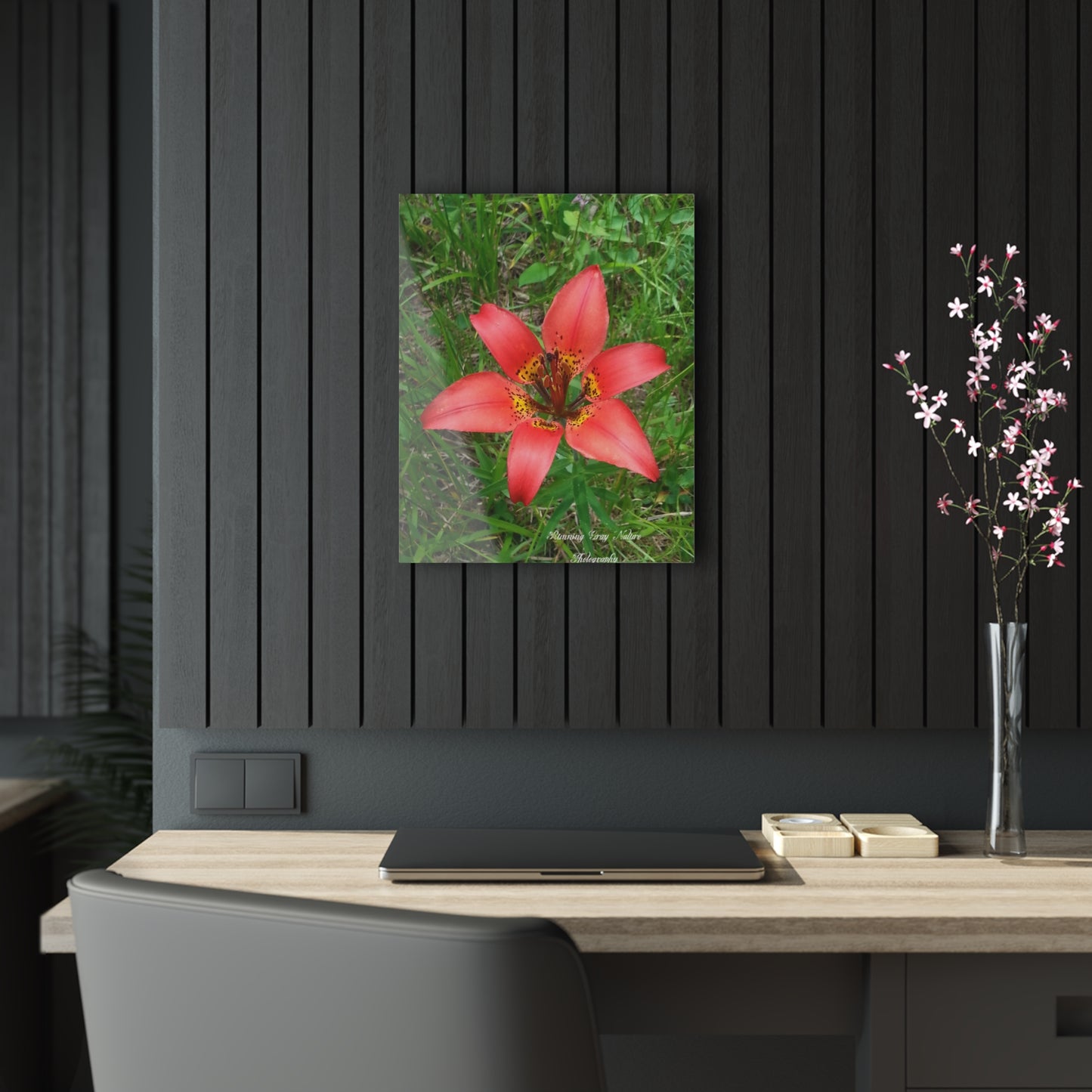 Red Tiger Lily Acrylic Prints