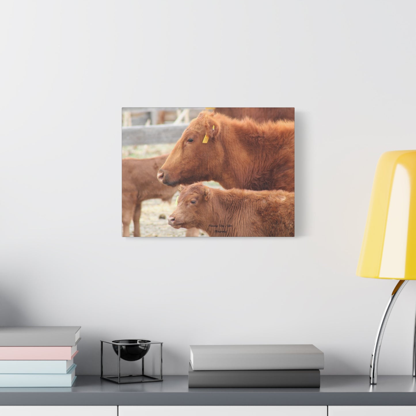 Momma and Baby Calf Matte Canvas, Stretched, 1.25"