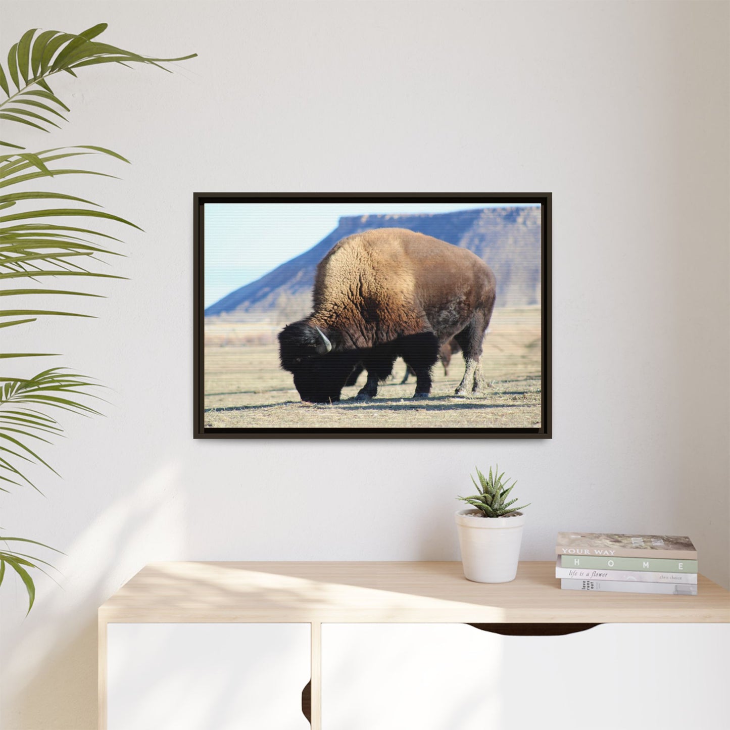 Big Daddy Buffalo Framed Canvas