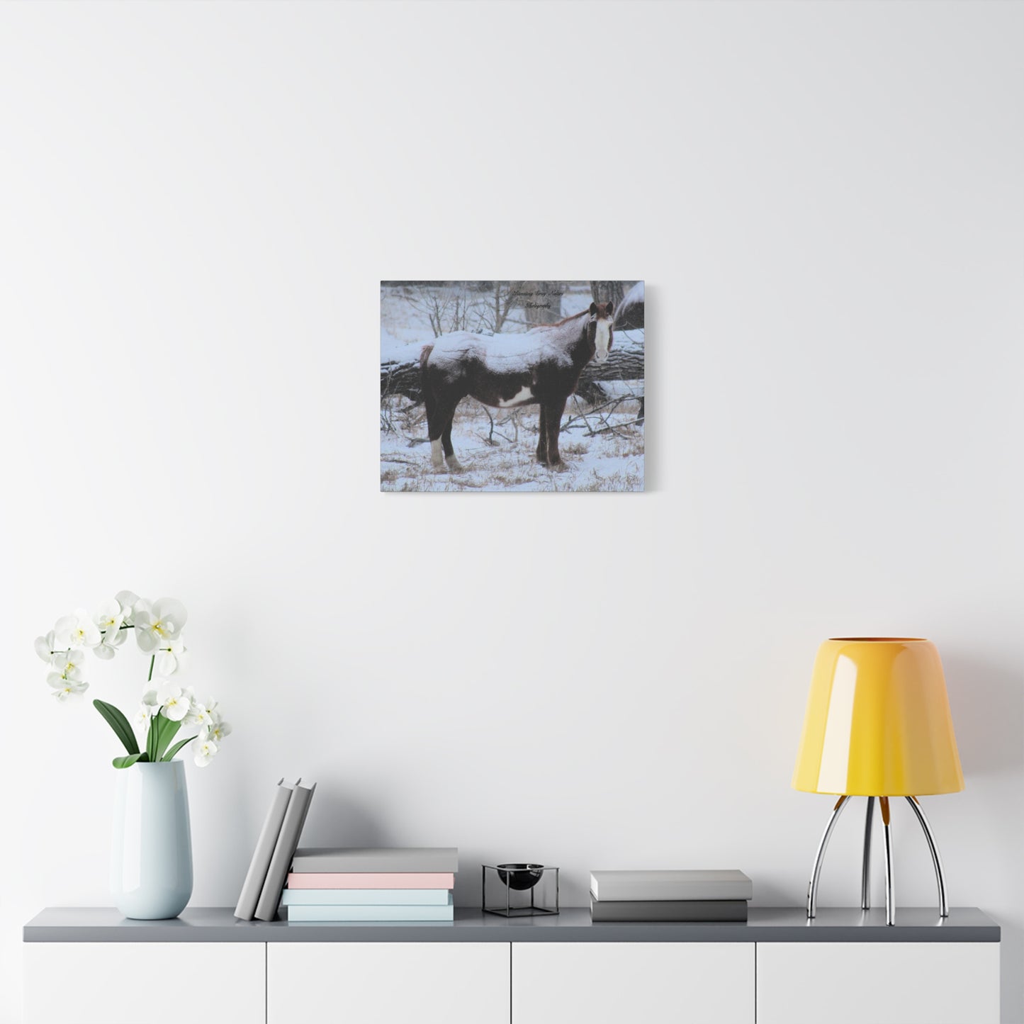 Snow Blanket Horse Matte Canvas, Stretched, 1.25"