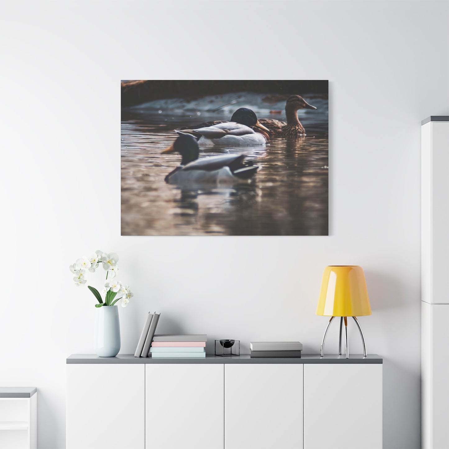Mallard Ducks Canvas
