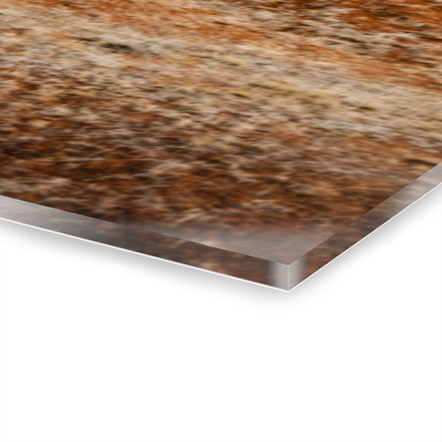 Rustic Fence Landscape Acrylic