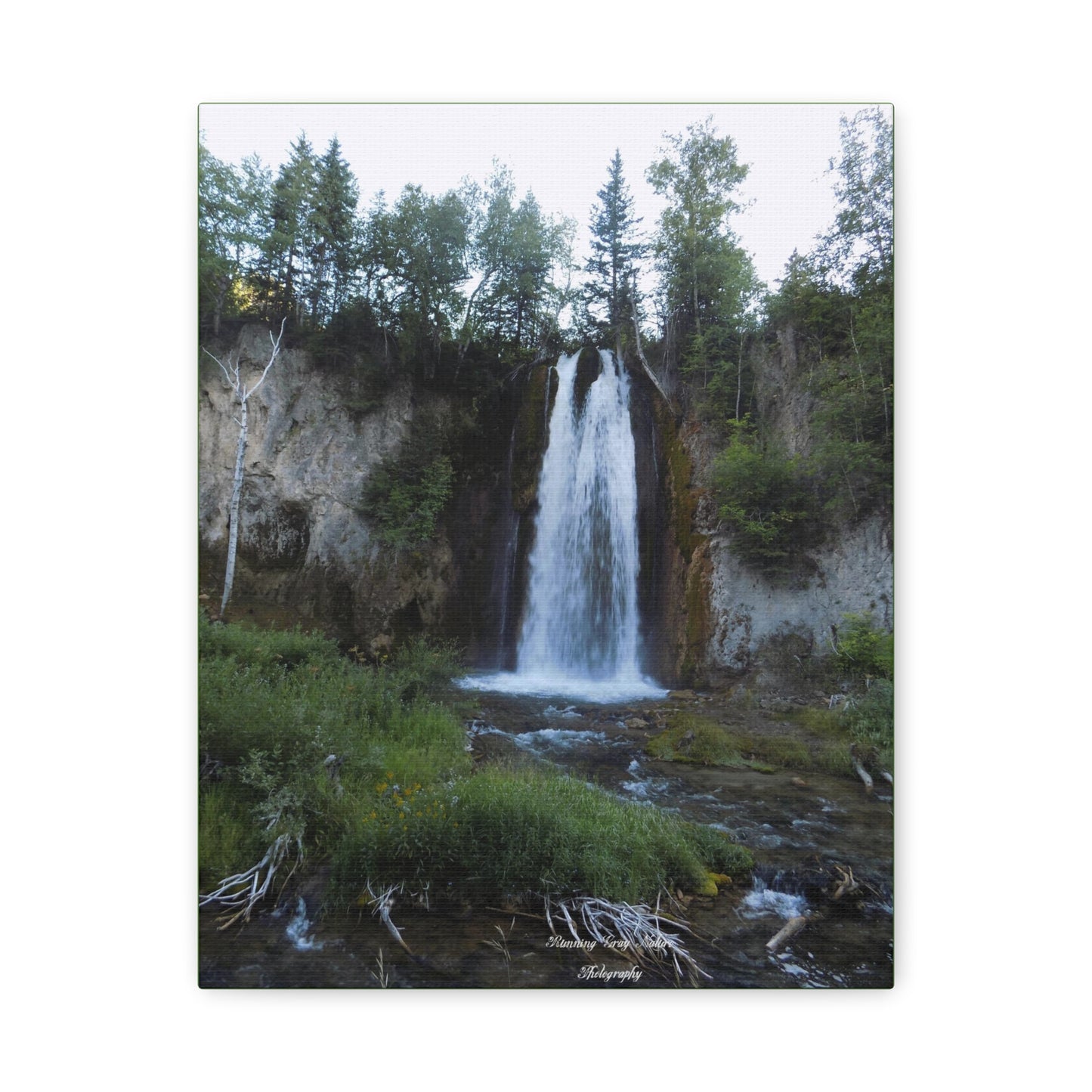 Spearfish Canyon Waterfall Matte Canvas, Stretched, 1.25"