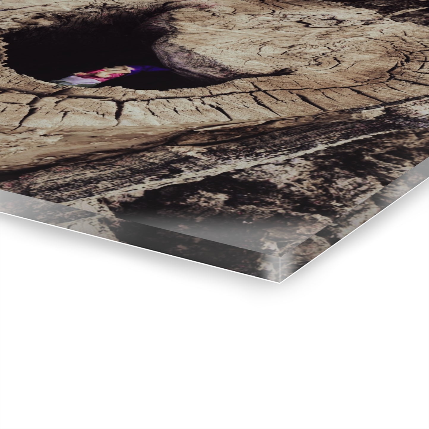 Fairy in a Tree Acrylic