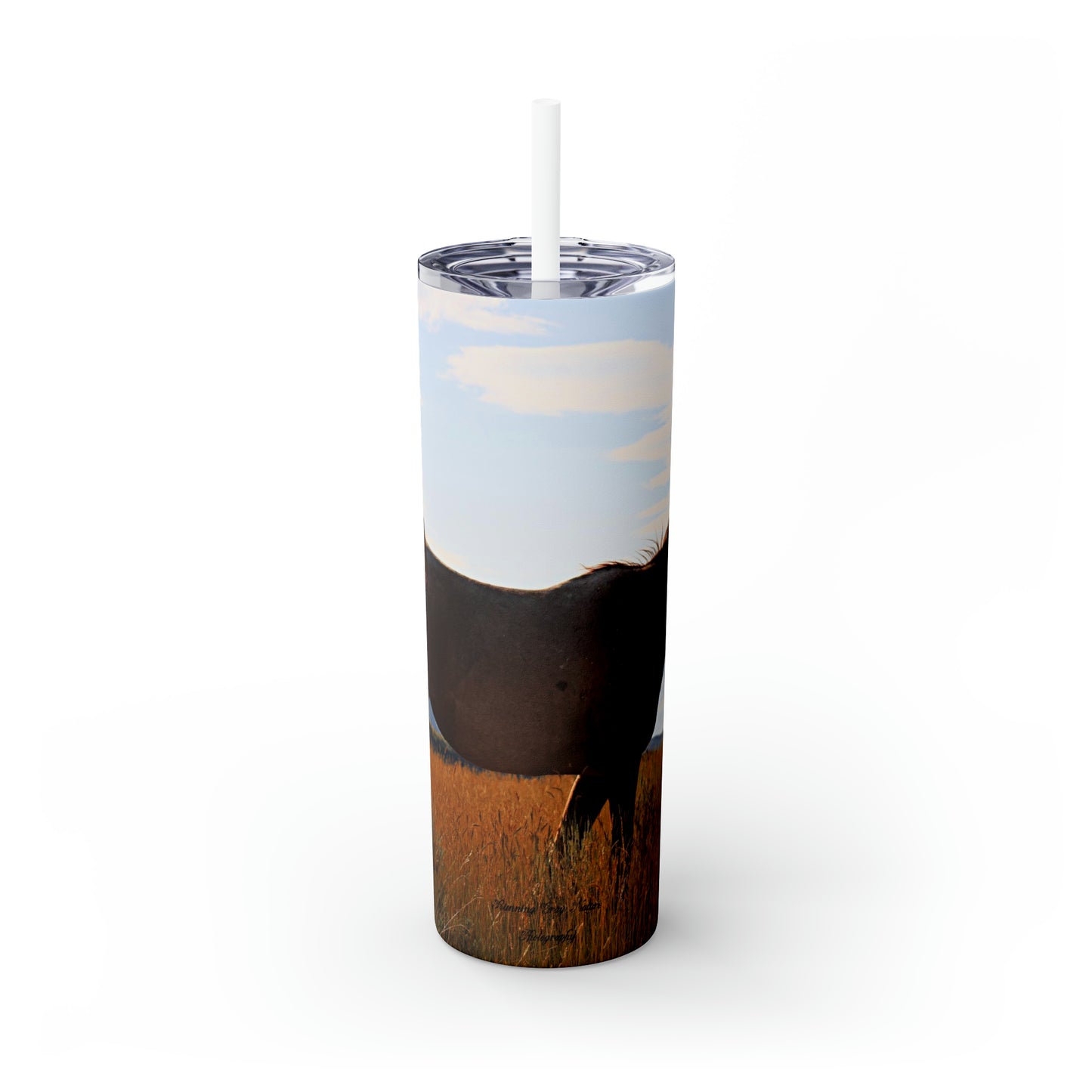 Fly Flicker Skinny Tumbler with Straw, 20oz