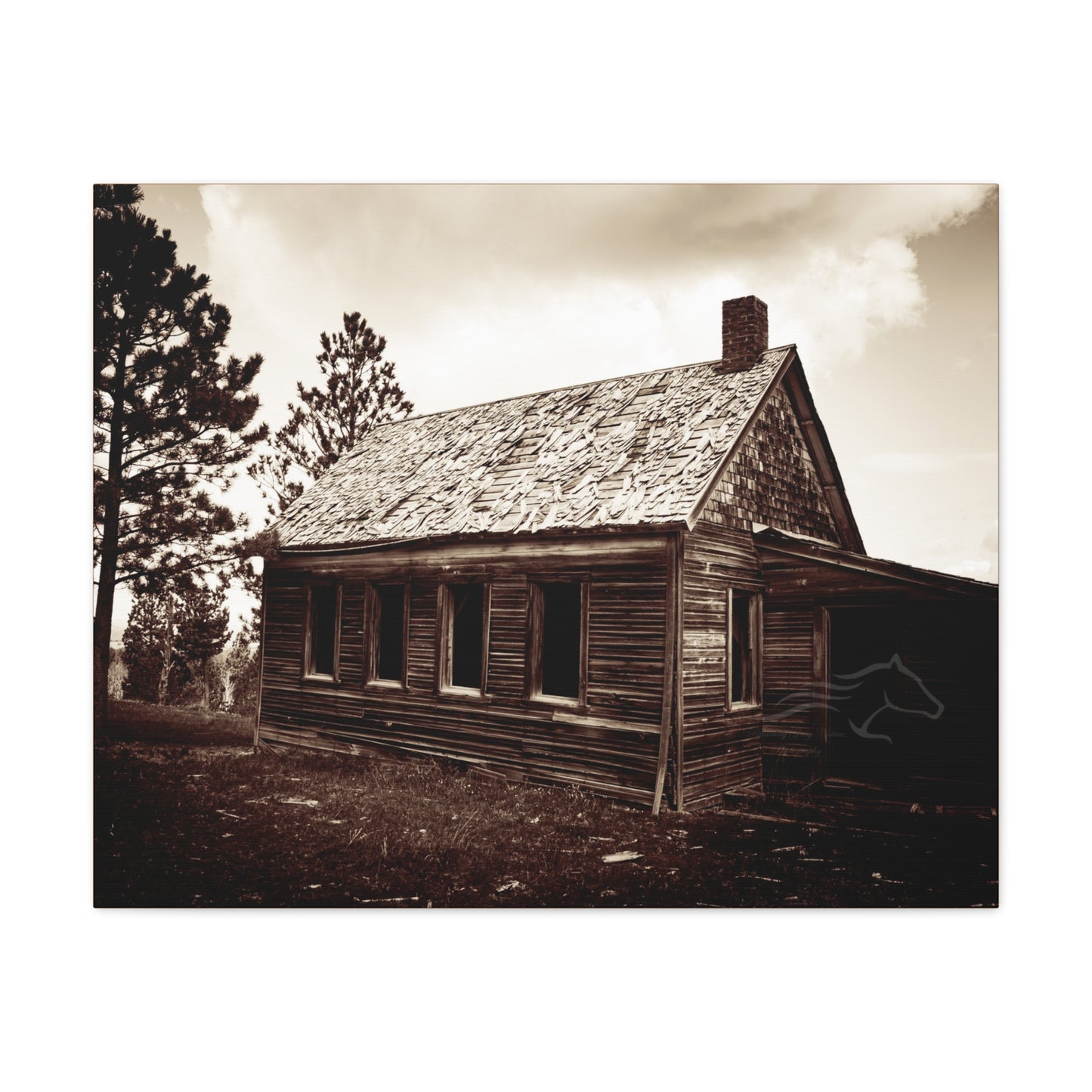 Rustic Bunk House Canvas