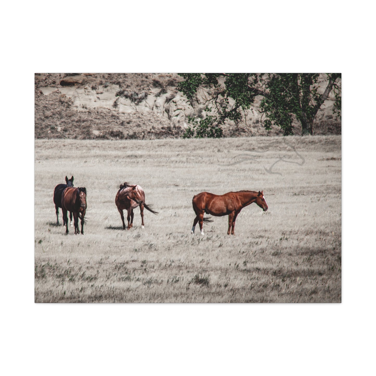 Not everything is Black and White