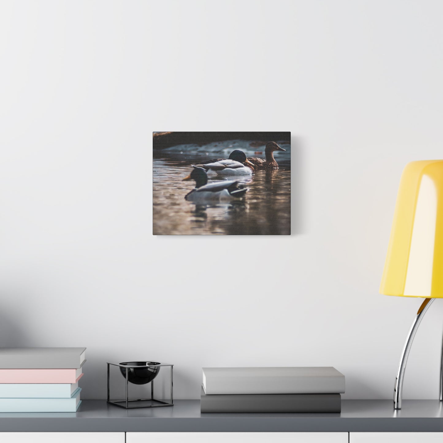 Mallard Ducks Canvas