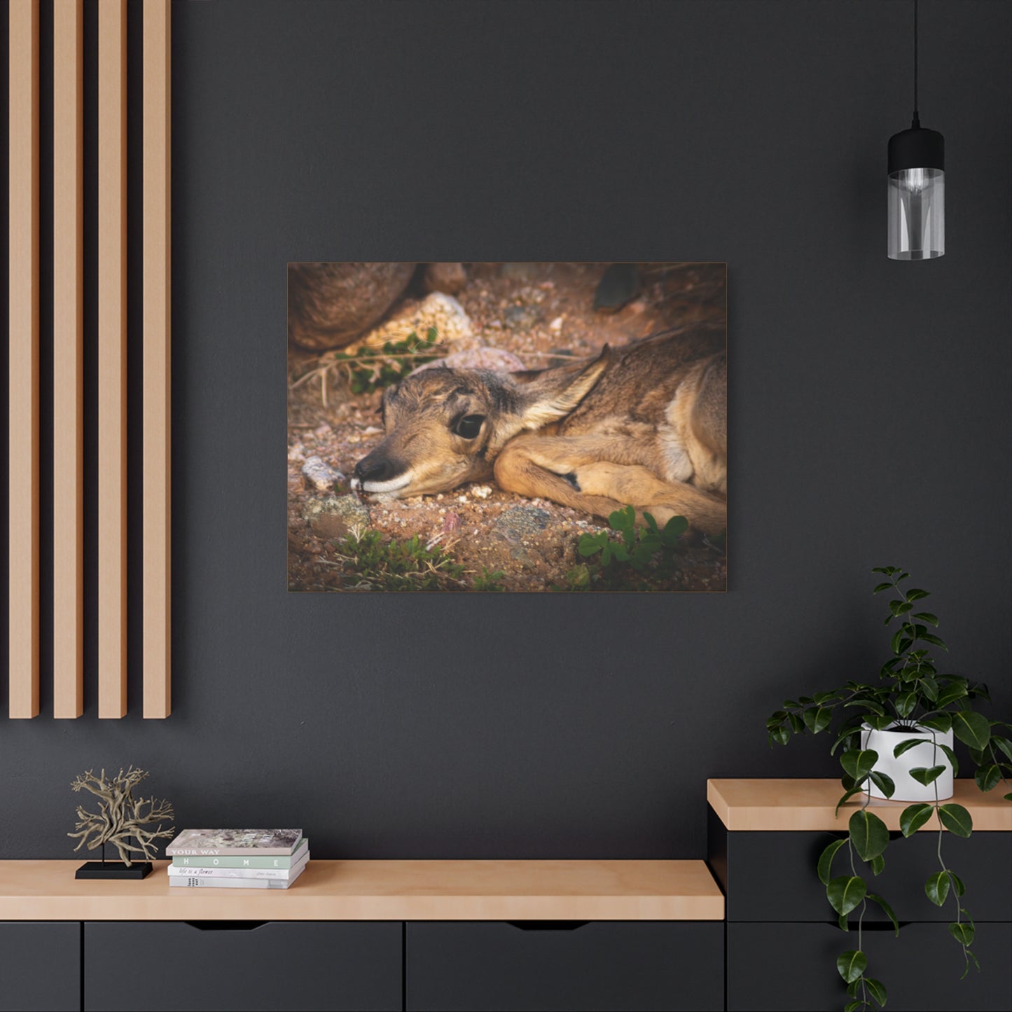 Baby Antelope Canvas