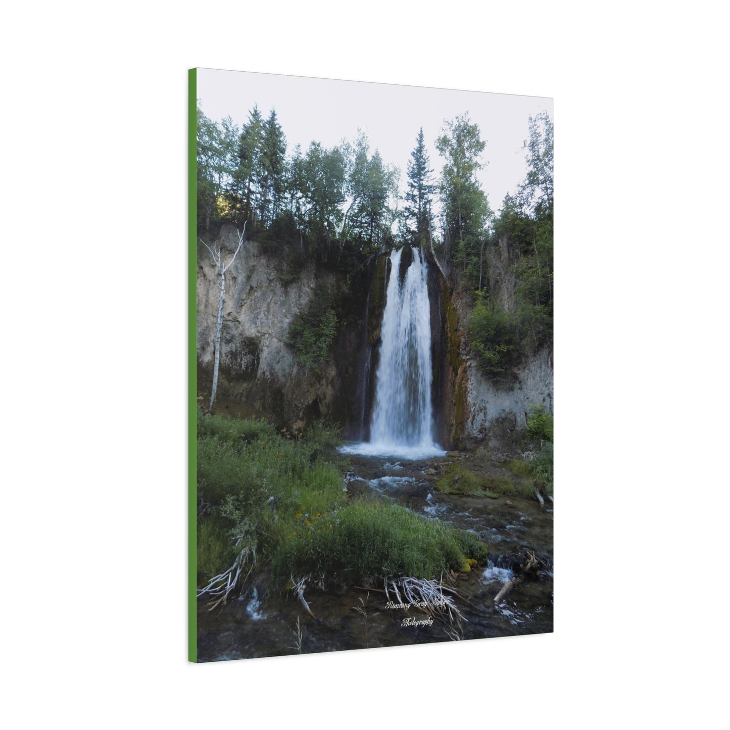 Spearfish Canyon Waterfall Matte Canvas, Stretched, 1.25"