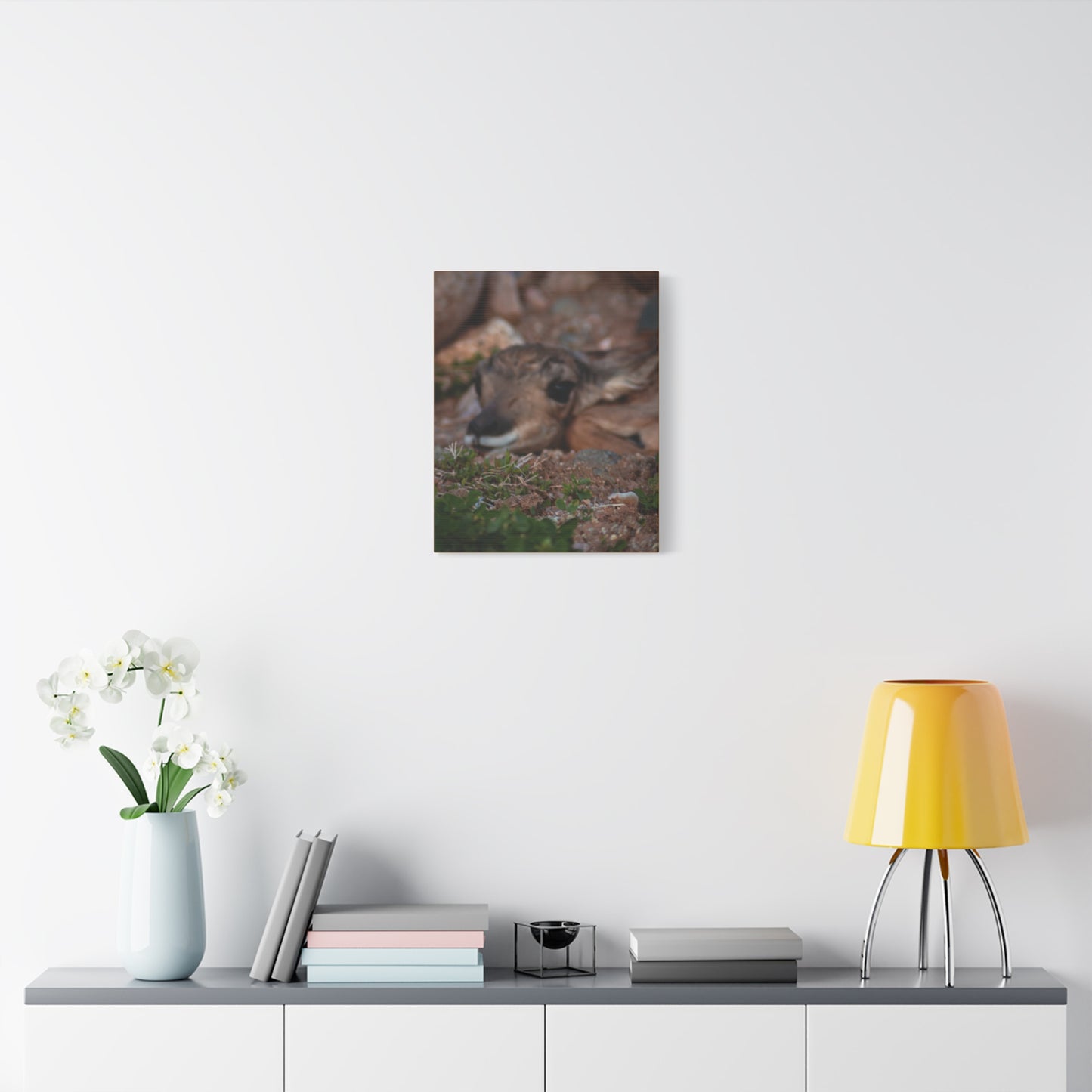 Gentle Antelope Fawn Canvas