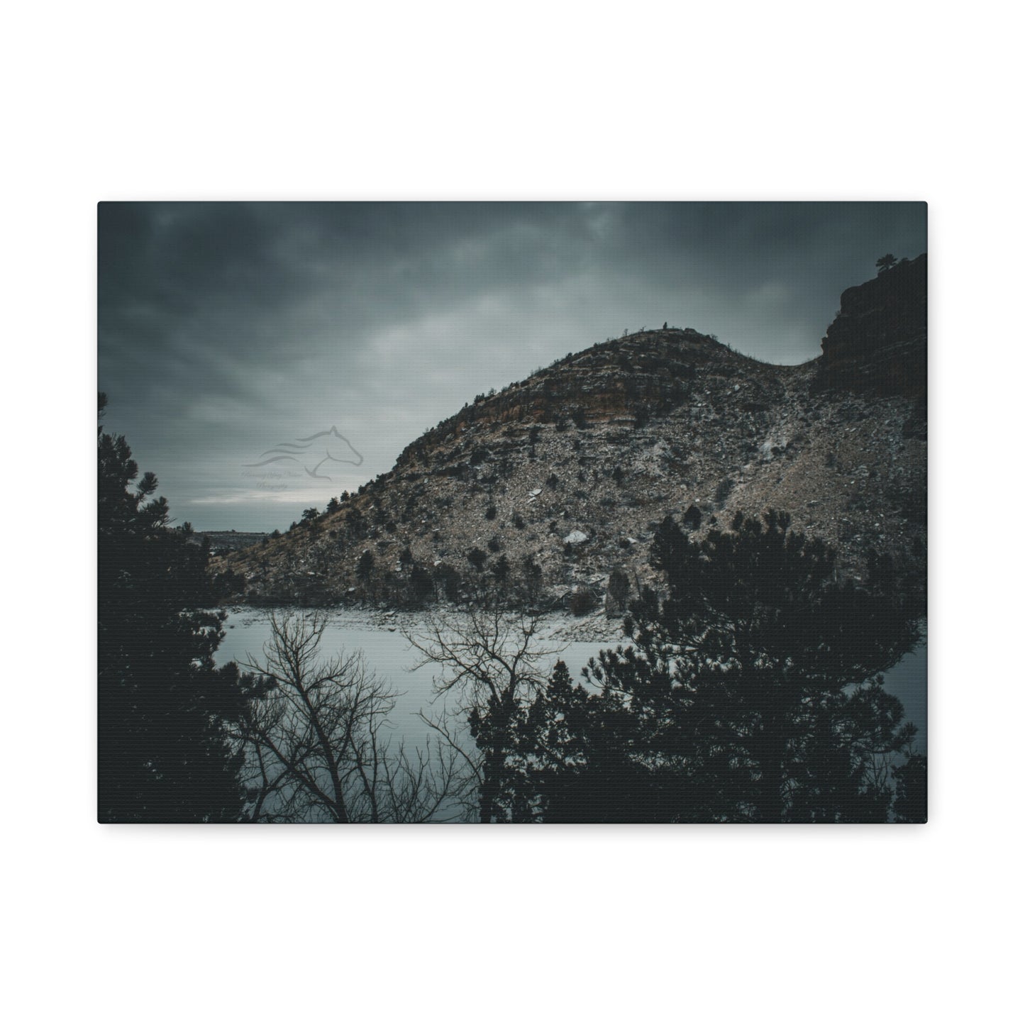 Moody Landscape Canvas