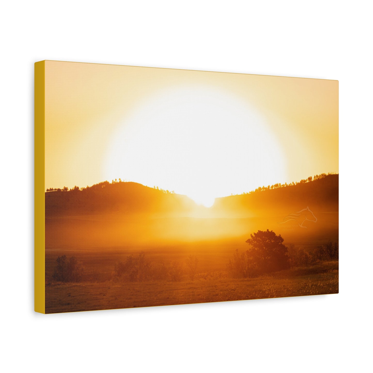 Buffalo Round Up Sunrise Canvas