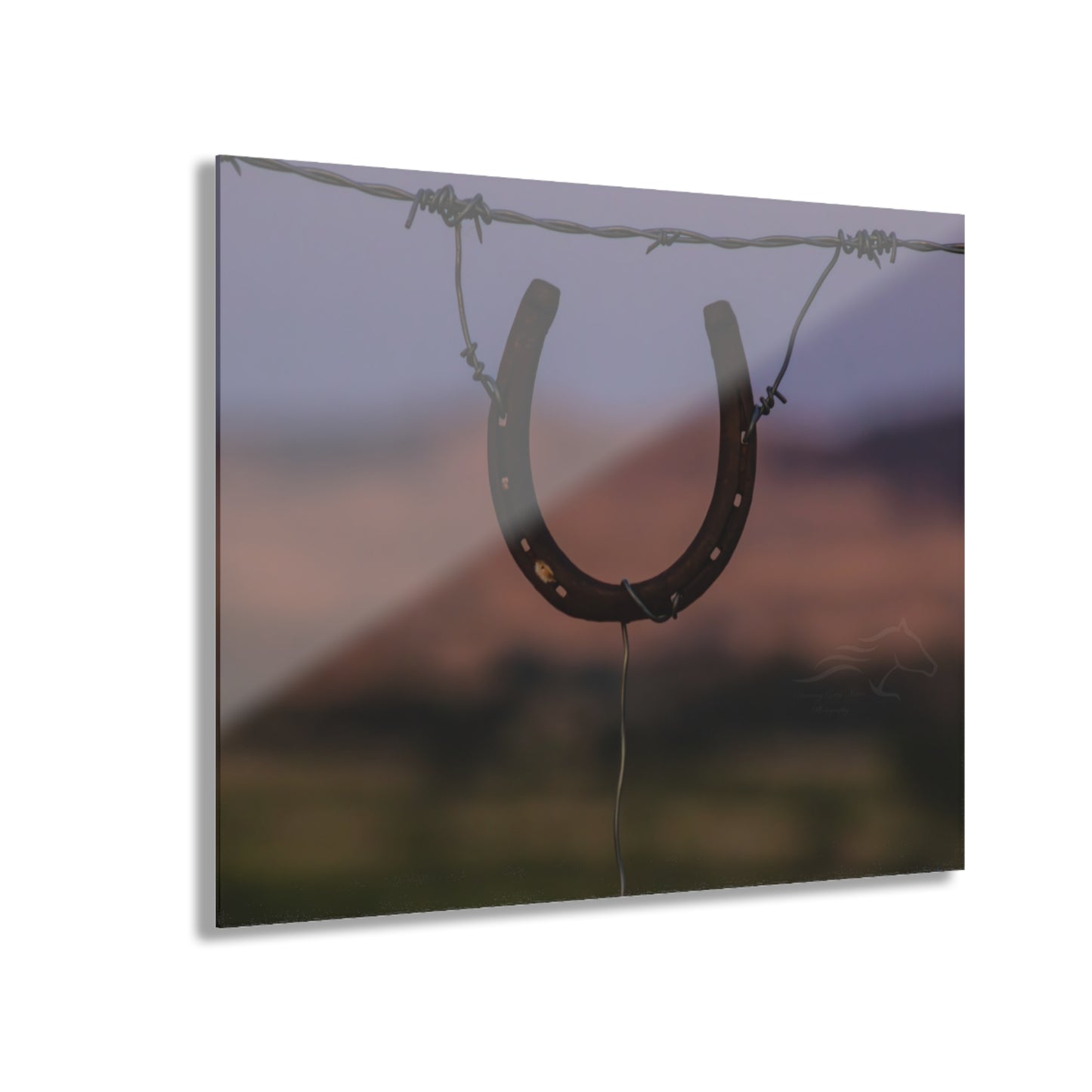 Rustic Horseshoe Acrylic