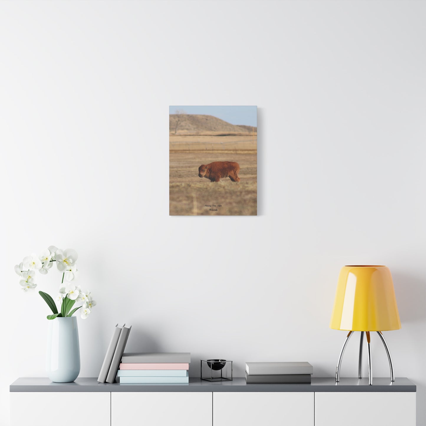 Baby Buffalo Matte Canvas, Stretched, 1.25"