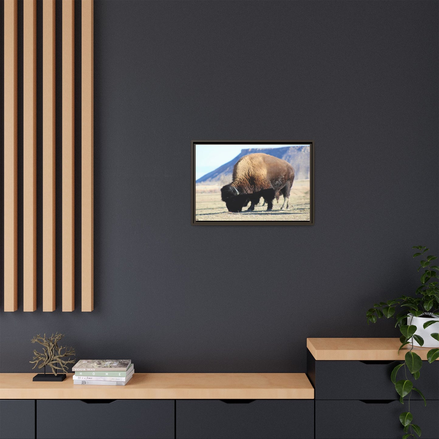 Big Daddy Buffalo Framed Canvas