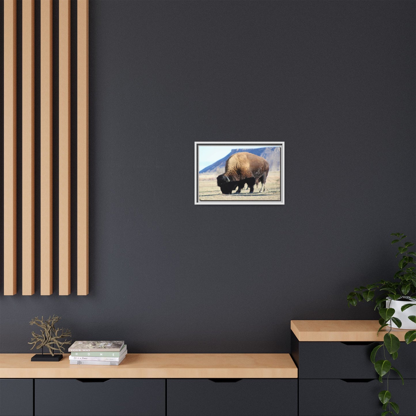 Big Daddy Buffalo Framed Canvas