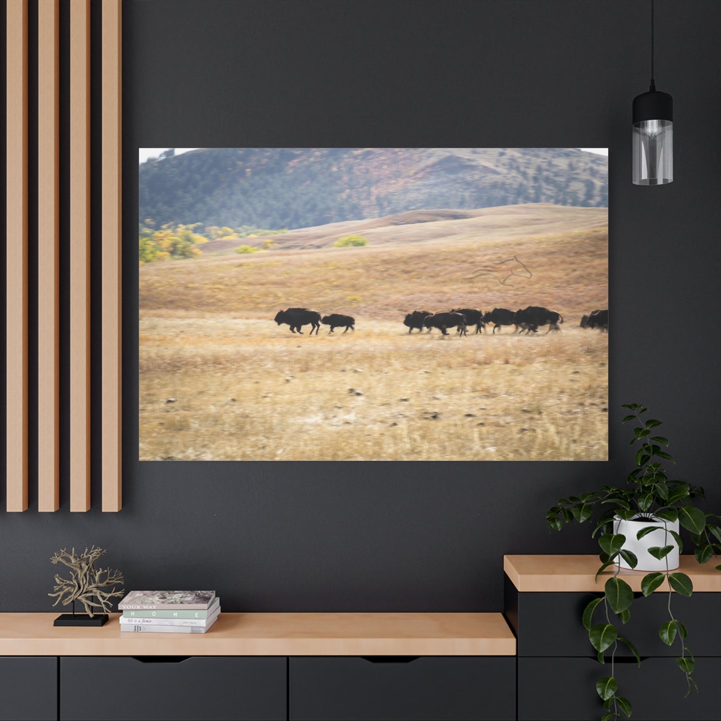Beginning Buffalo Herd Canvas