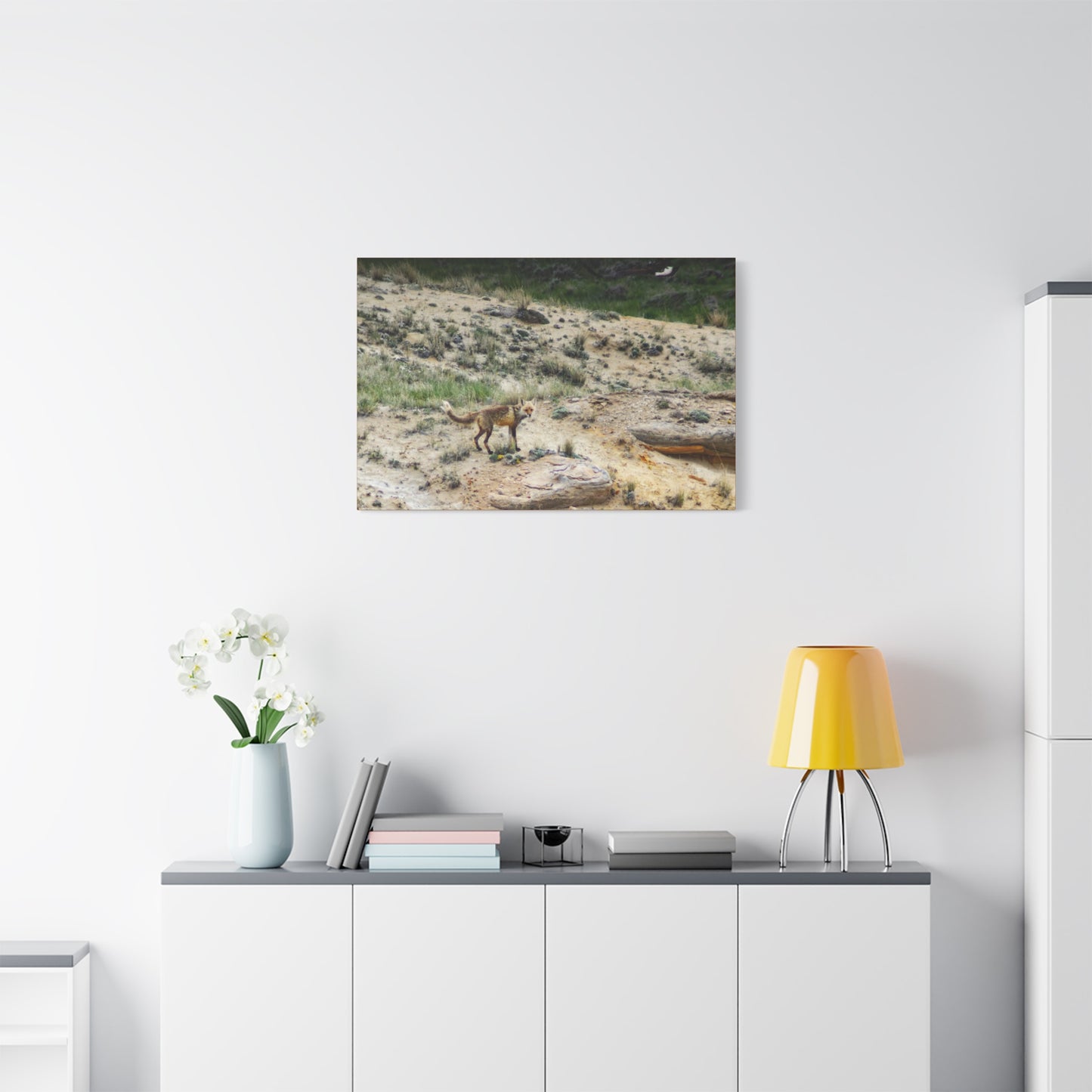 Swift fox and an Eagle