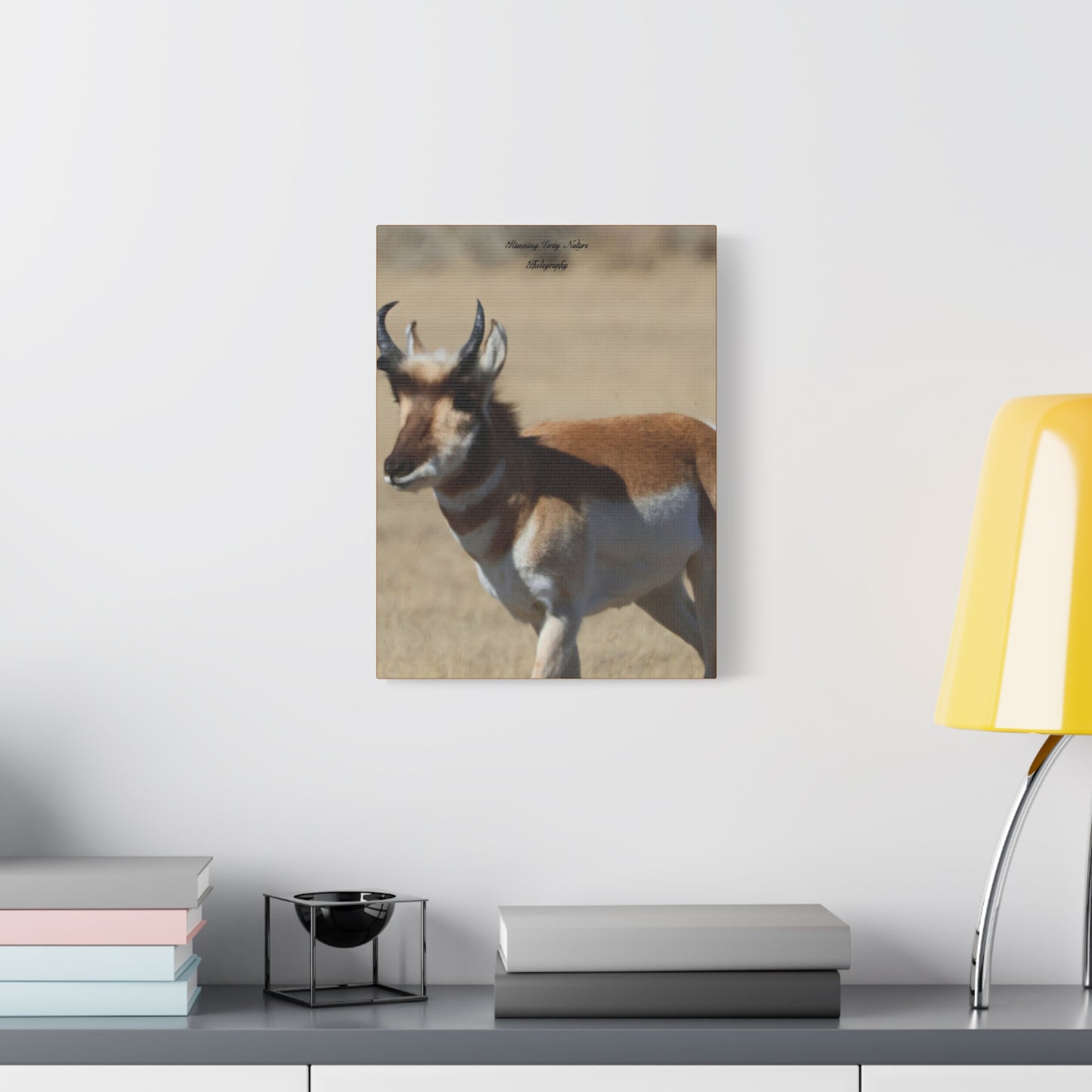 Wyoming Pronghorn Matte Canvas, Stretched, 1.25"