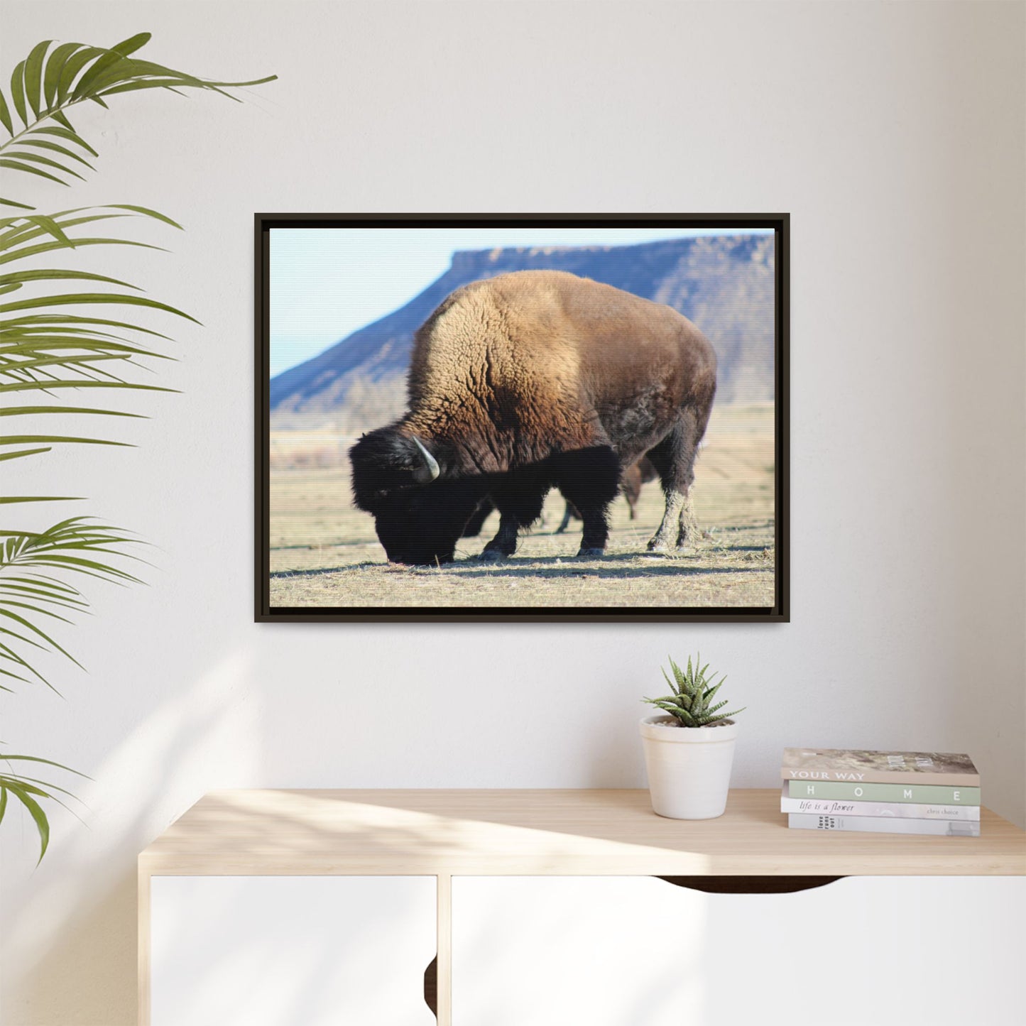 Big Daddy Buffalo Framed Canvas