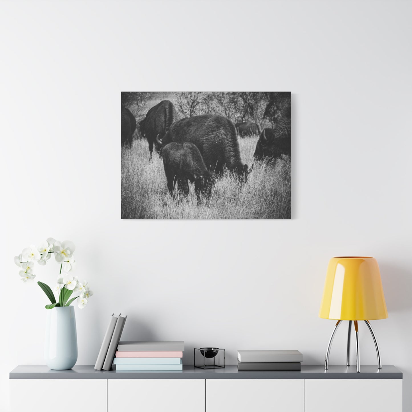 Black and White Buffalo Canvas