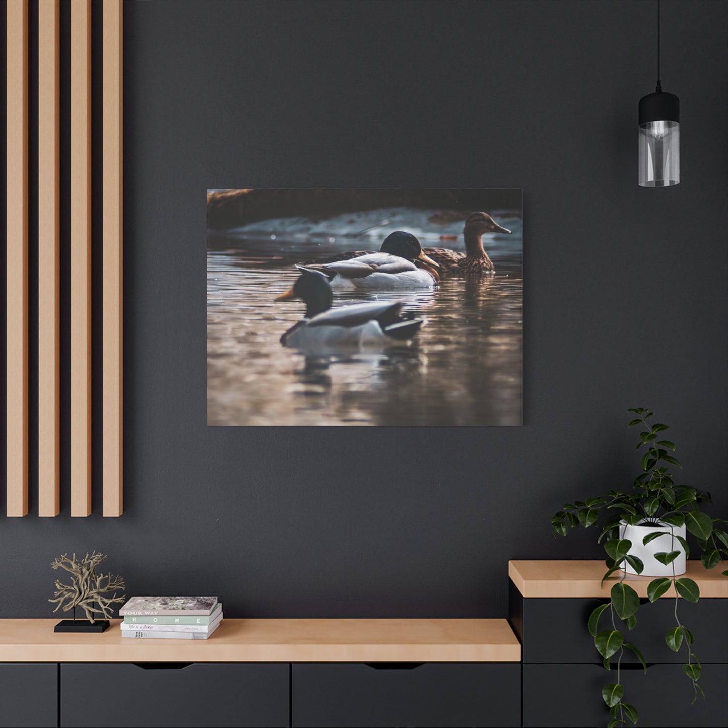 Mallard Ducks Canvas