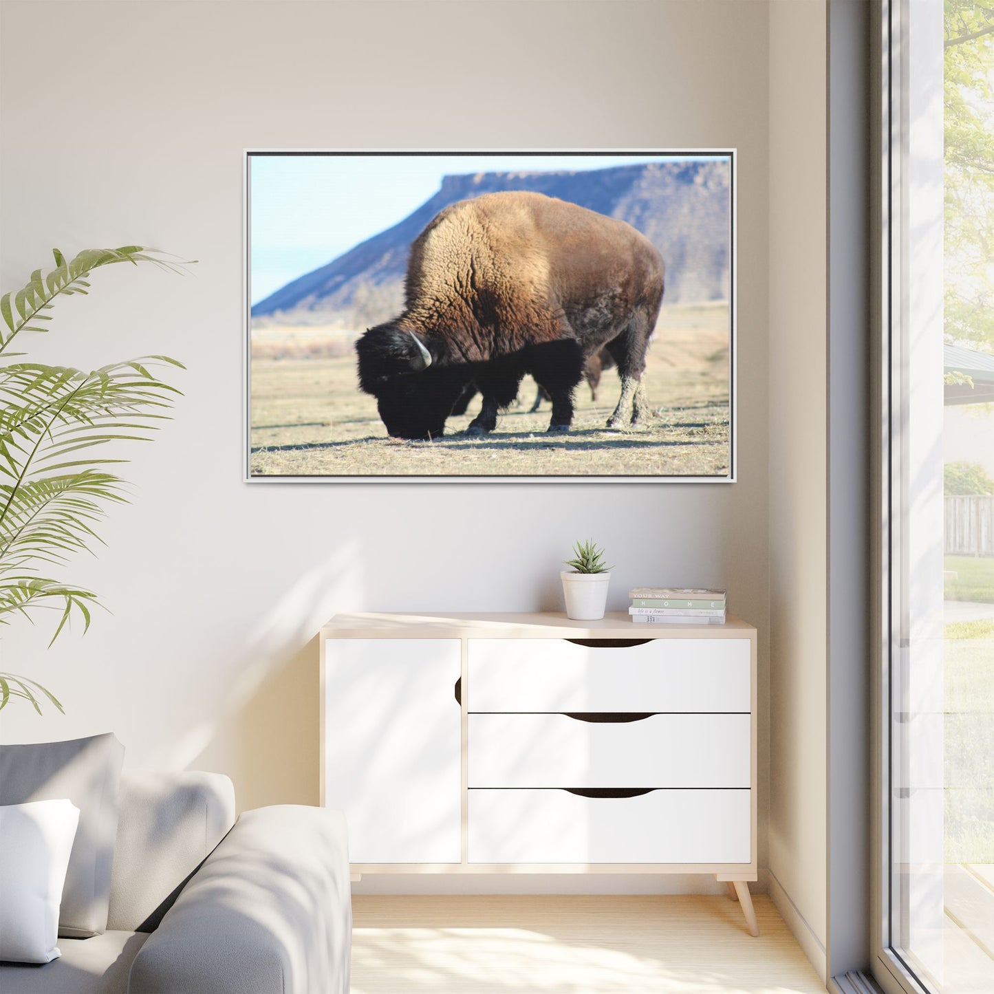 Big Daddy Buffalo Framed Canvas