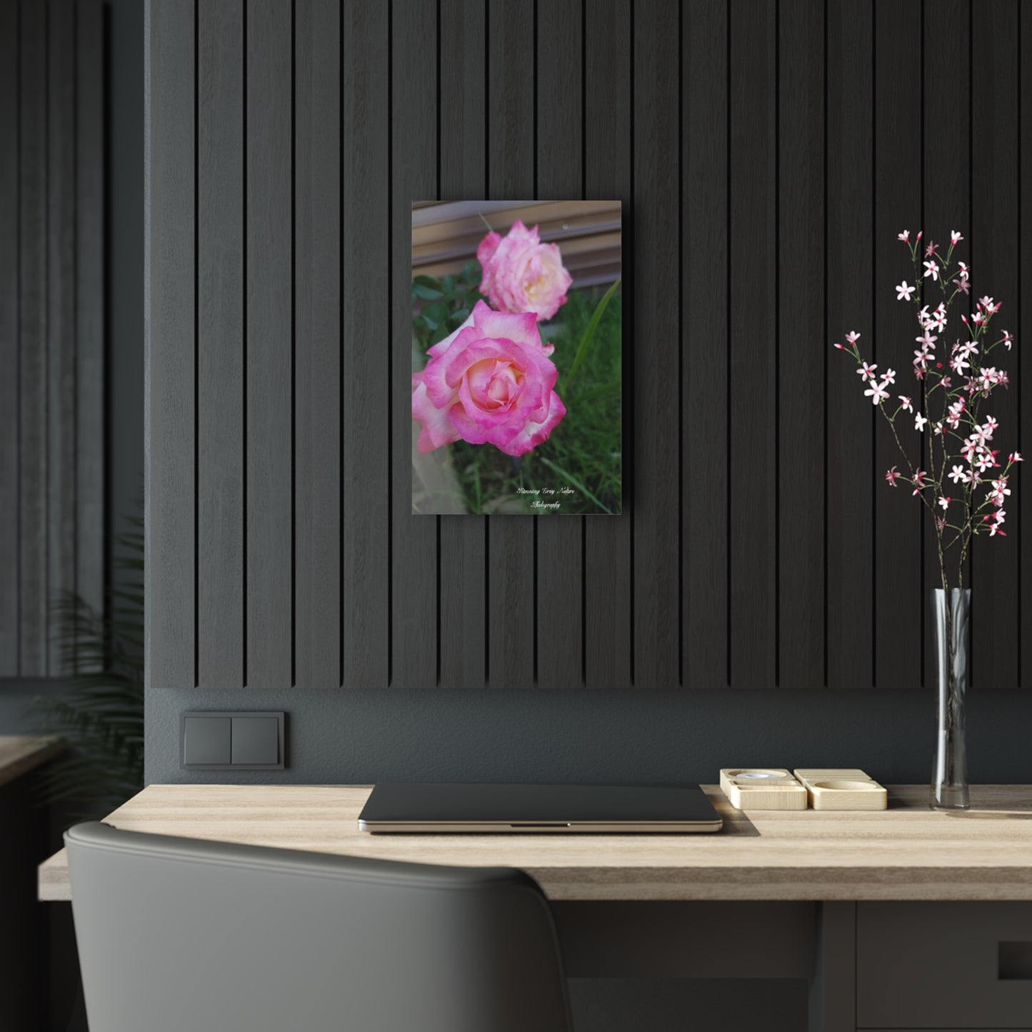 Pink Roses Acrylic Prints