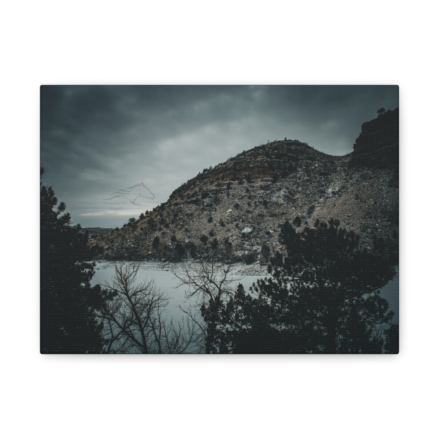Moody Landscape Canvas