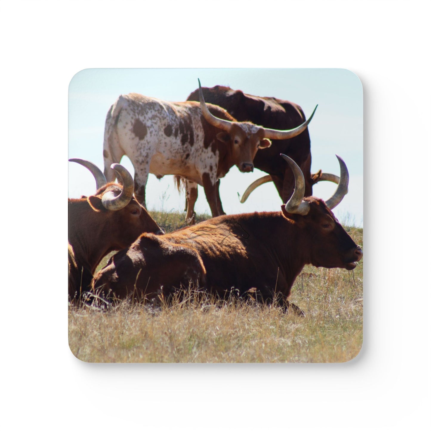 Long Horn Gathering Corkwood Coaster Set