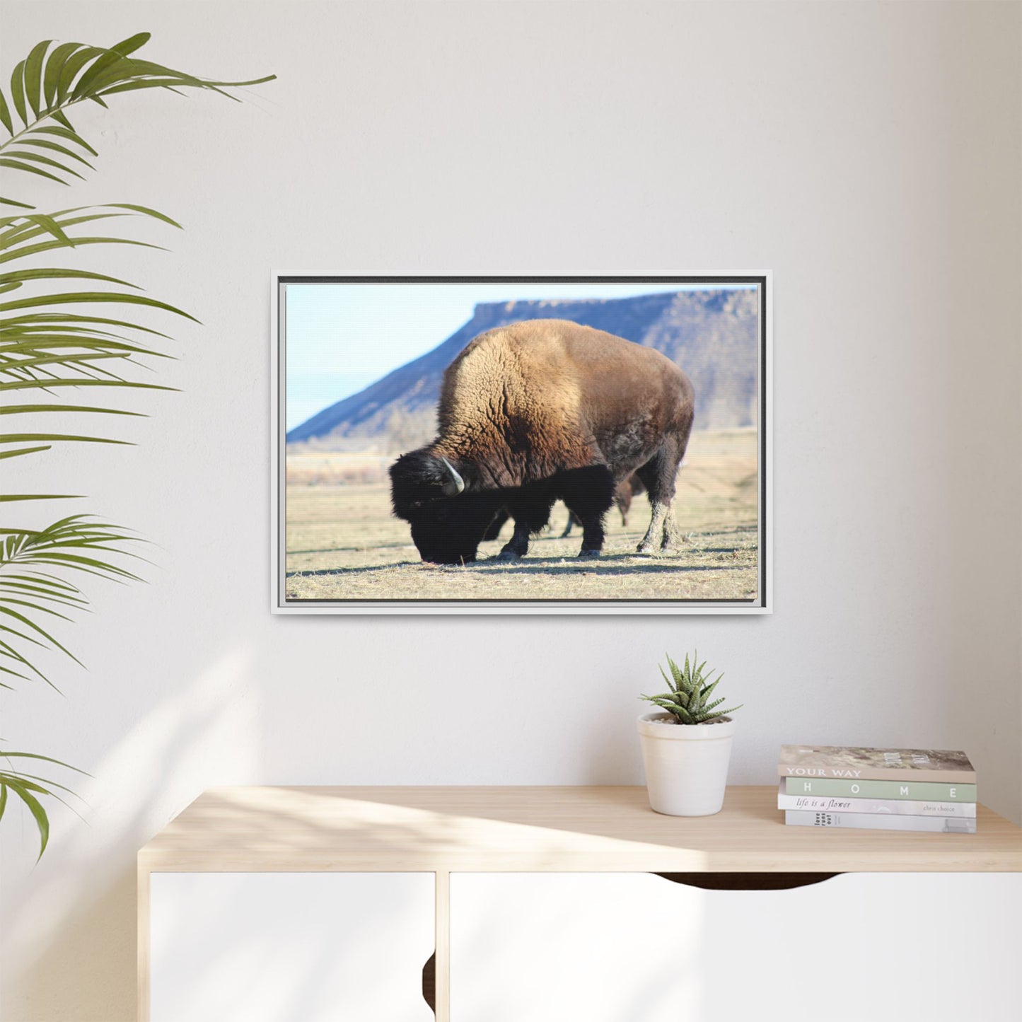 Big Daddy Buffalo Framed Canvas