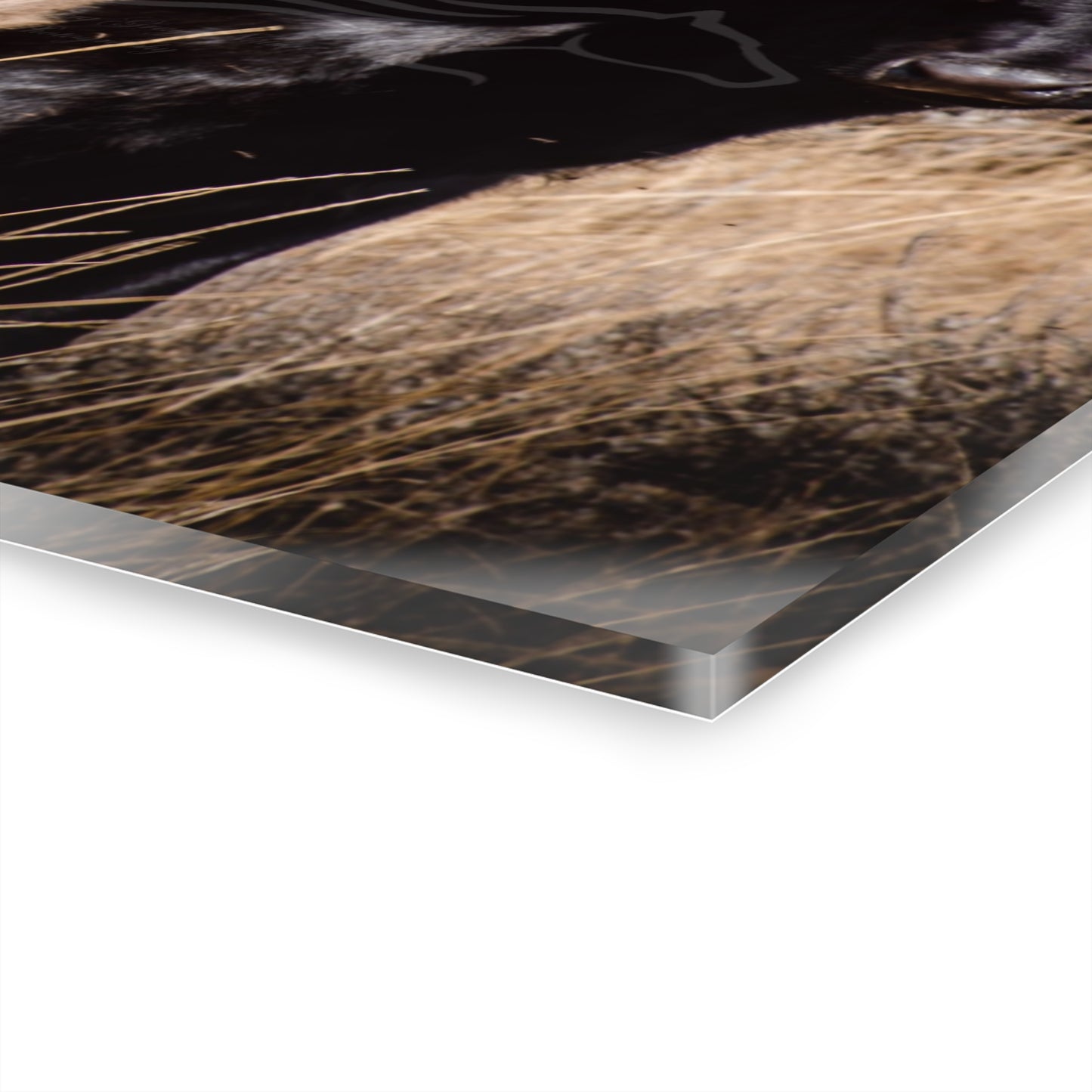 Baby Blonde Calf Acrylic