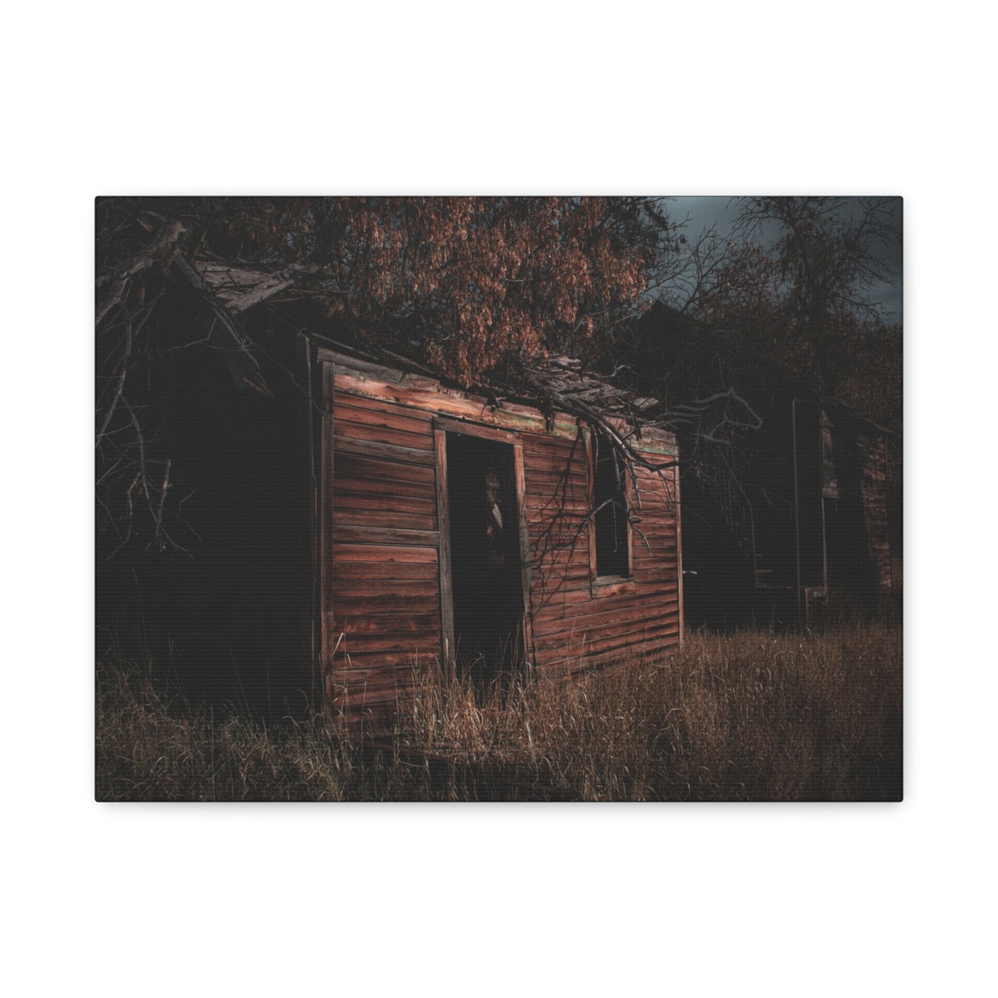 Haunting Rustic Canvas