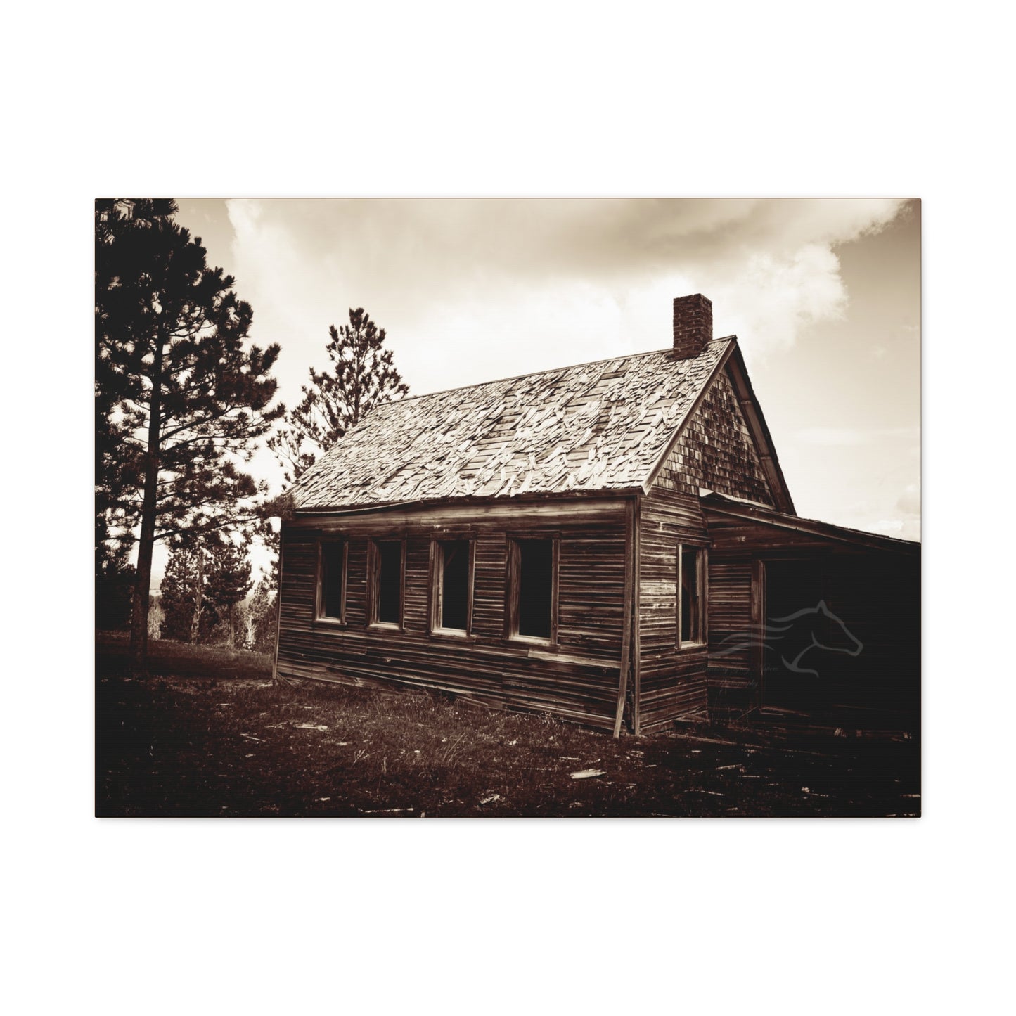 Rustic Bunk House Canvas