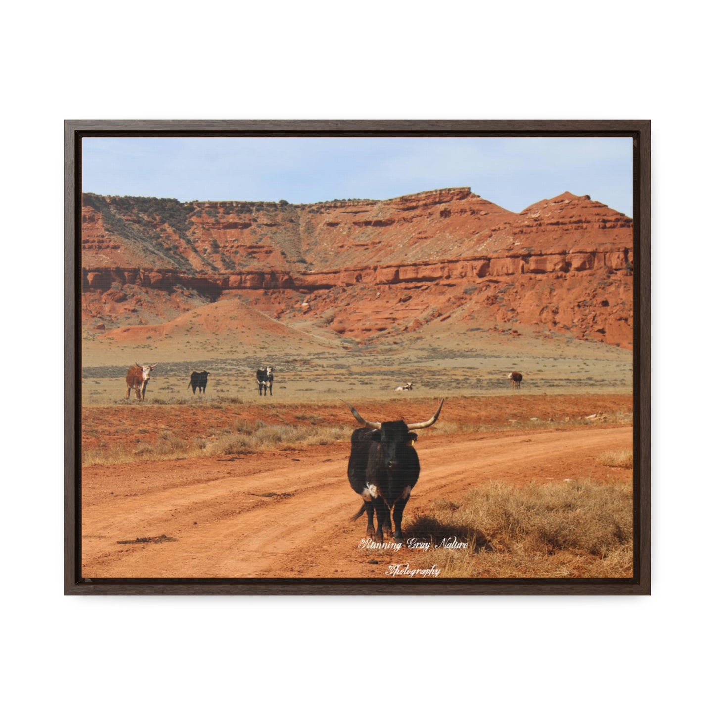 Long Horn Gallery Canvas Wraps, Horizontal Frame