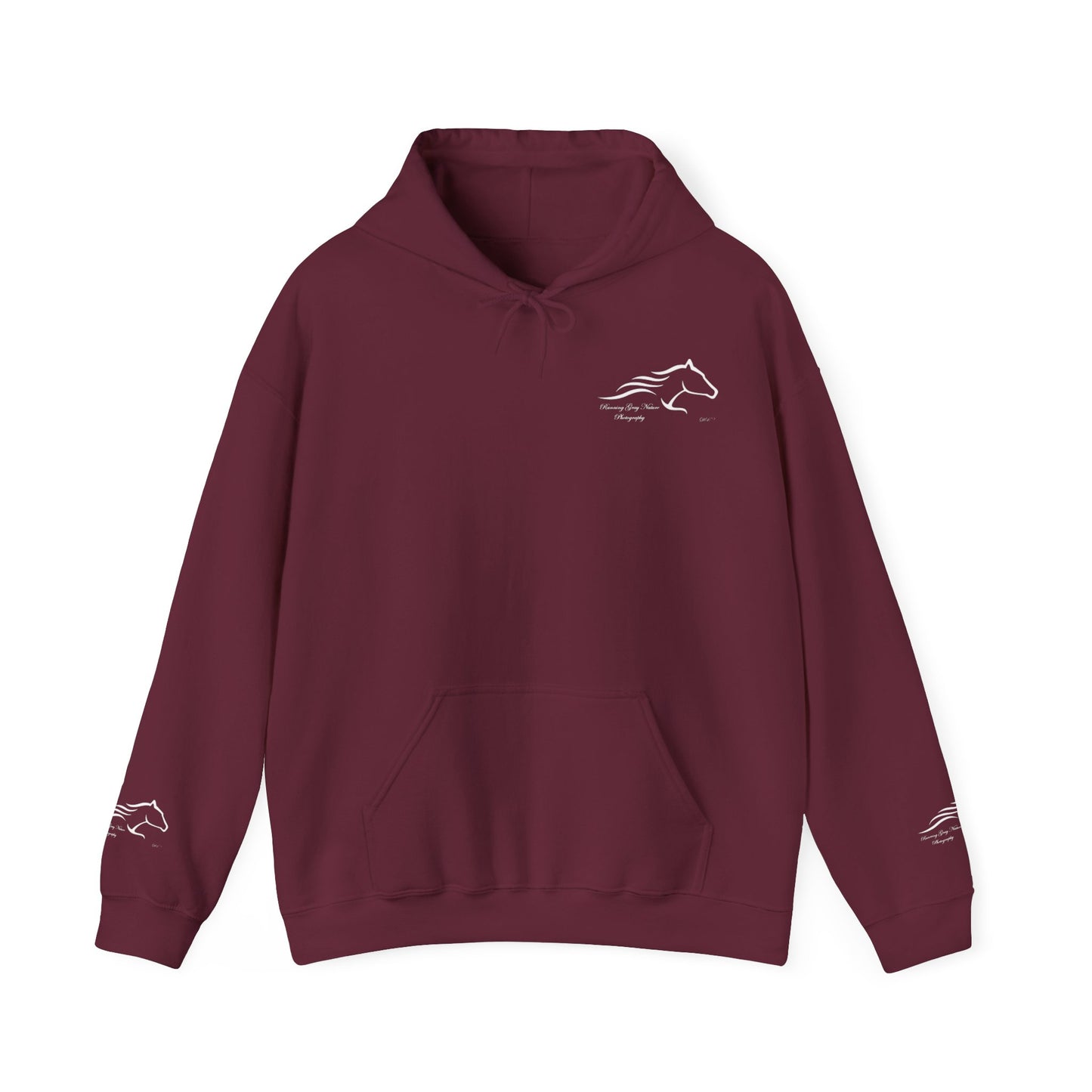 Mountain View Hoodie
