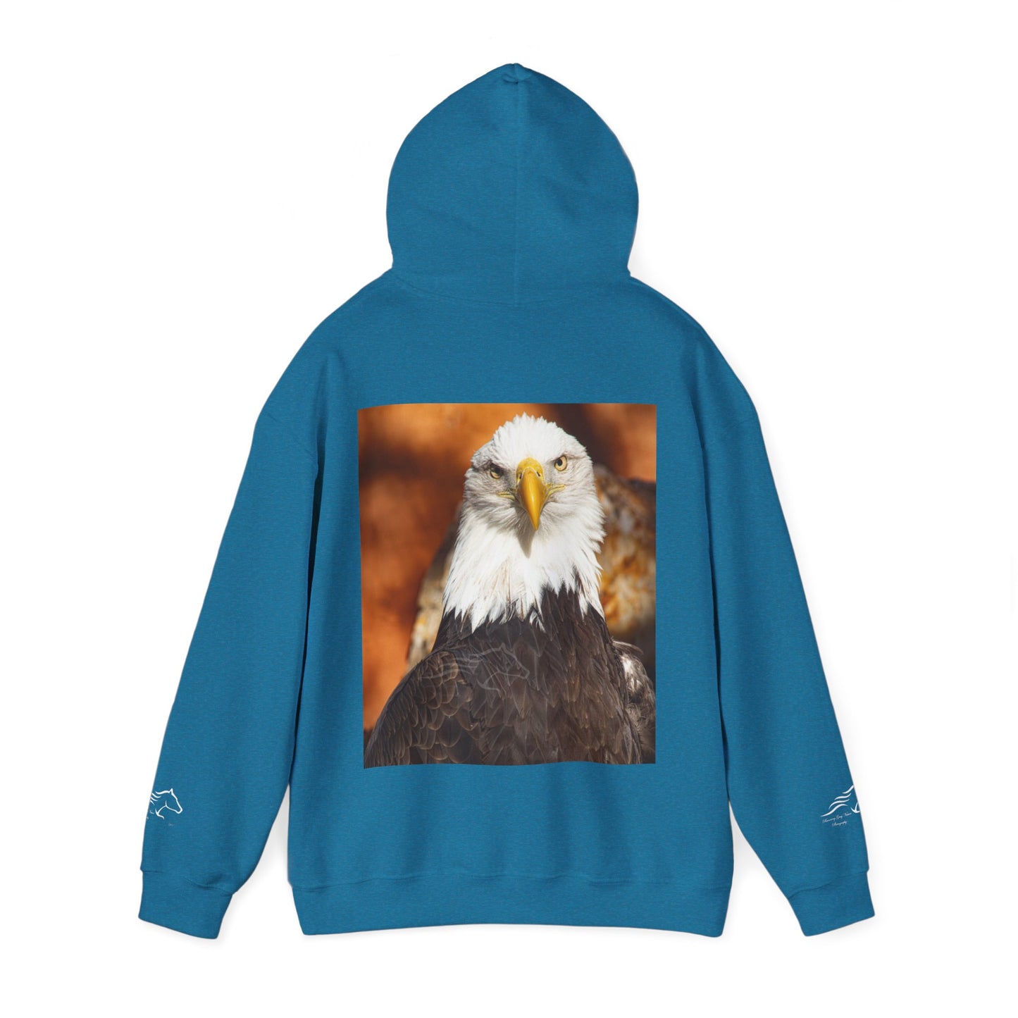 Bald Eagle Hoodie